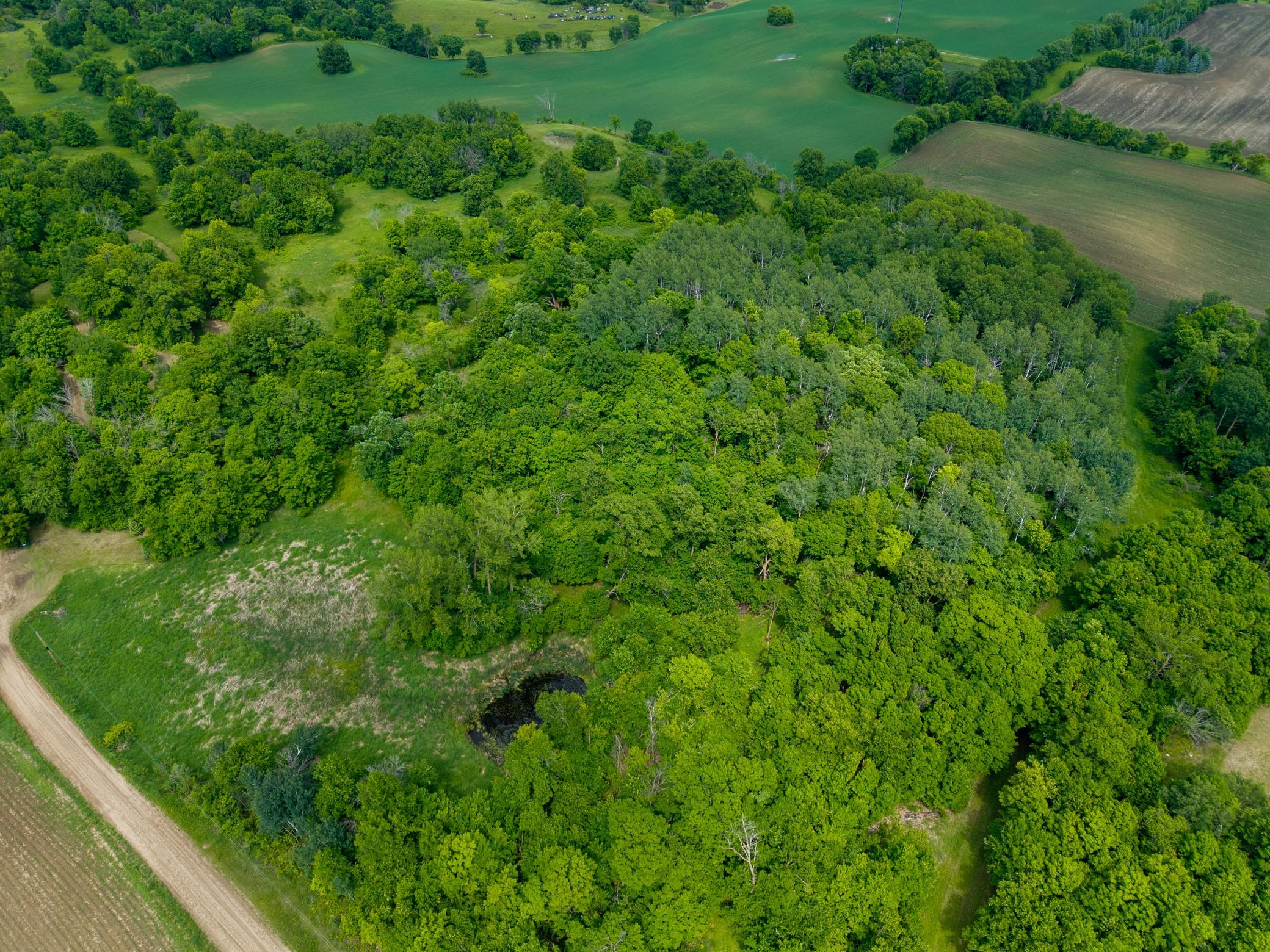 land for sale at 30384 235th Avenue in Fergus Falls, MN (photo 11 of 11)