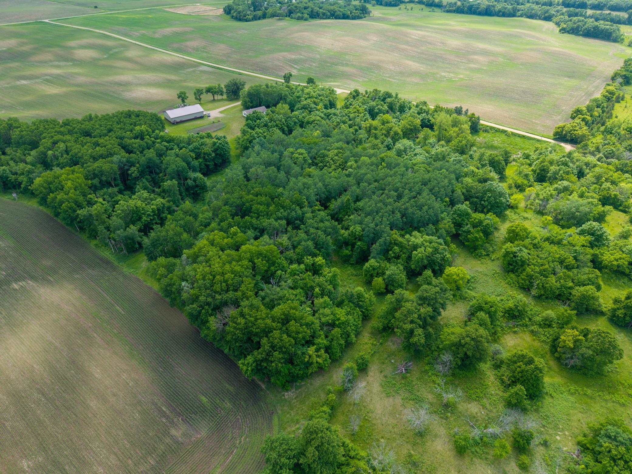 land for sale at 30384 235th Avenue in Fergus Falls, MN (photo 6 of 11)