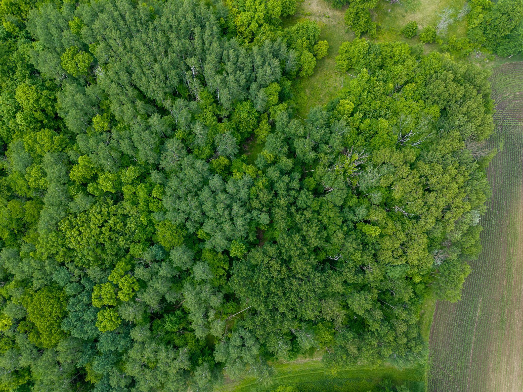 land for sale at 30384 235th Avenue in Fergus Falls, MN (photo 9 of 11)