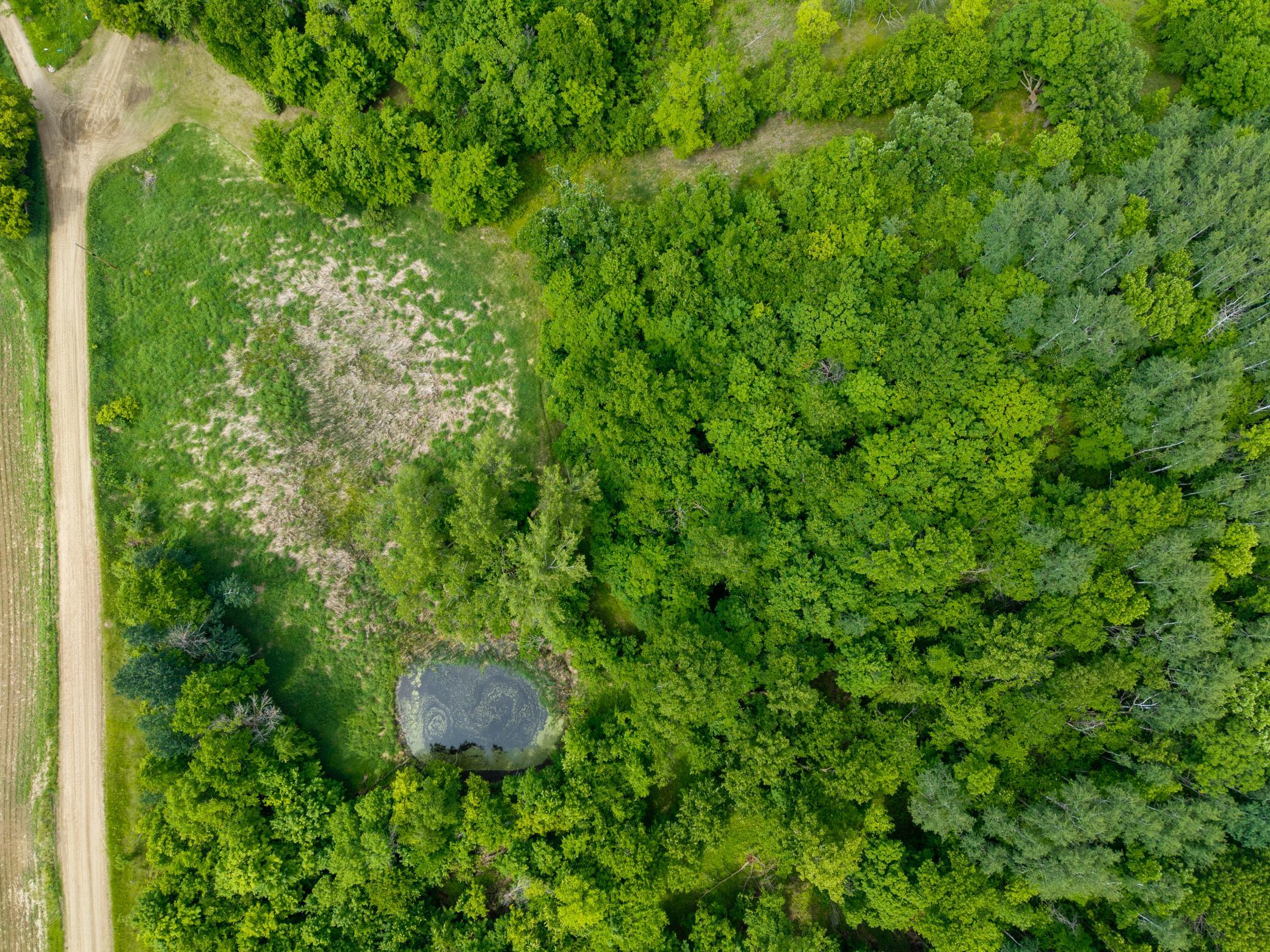 land for sale at 30384 235th Avenue in Fergus Falls, MN (photo 10 of 11)
