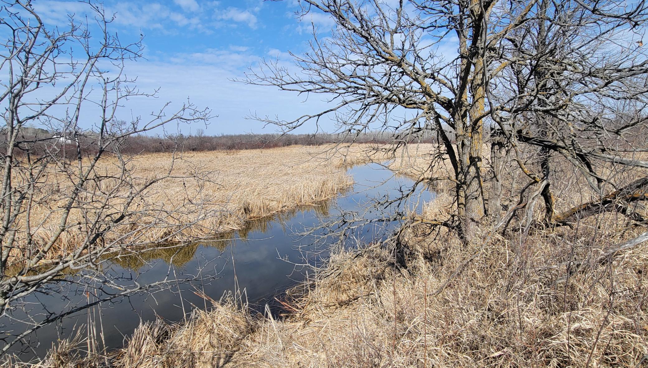 512xx Leaf River Road Tract A, Ottertail MN 56571 - Photo 16 of 27