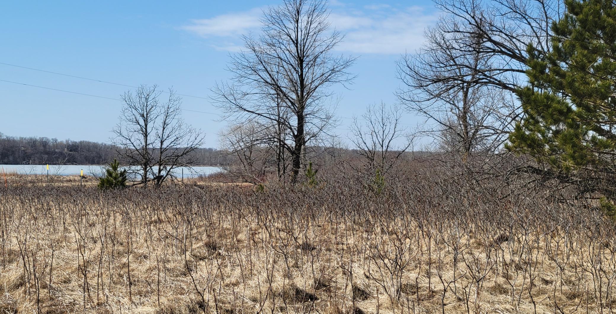 512xx Leaf River Road Tract A, Ottertail MN 56571 - Photo 22 of 27