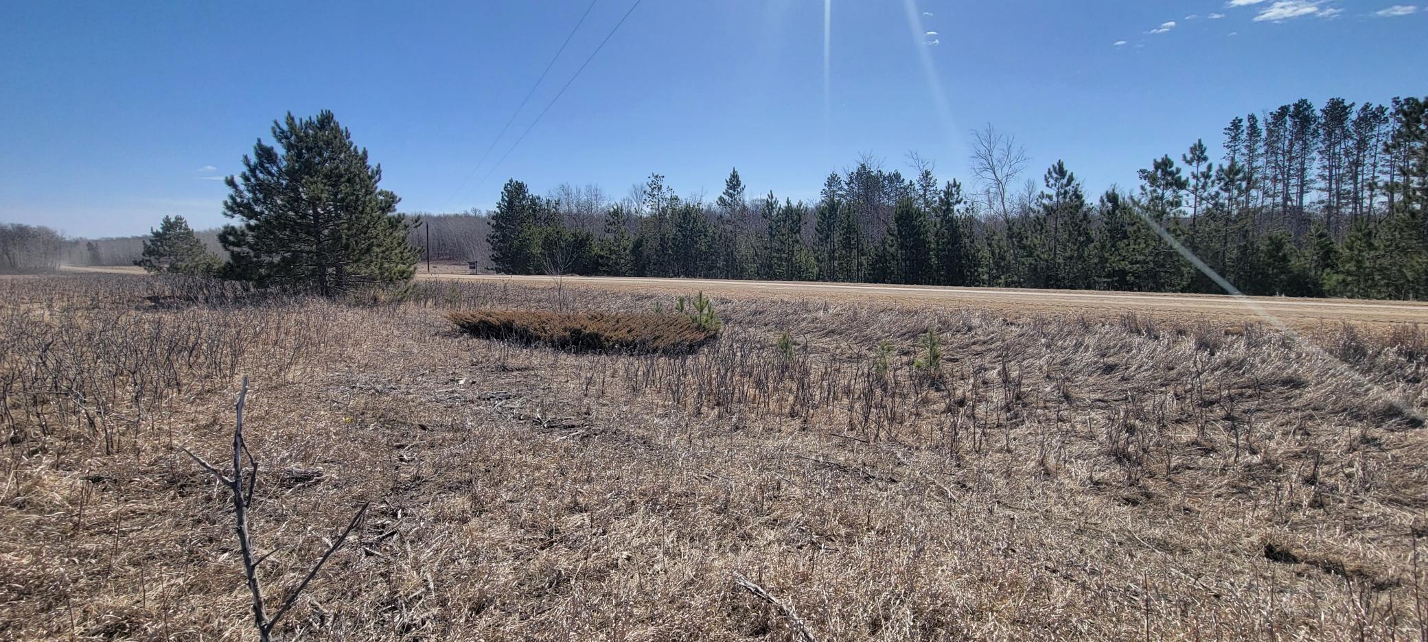 512xx Leaf River Road Tract A, Ottertail MN 56571 - Photo 23 of 27