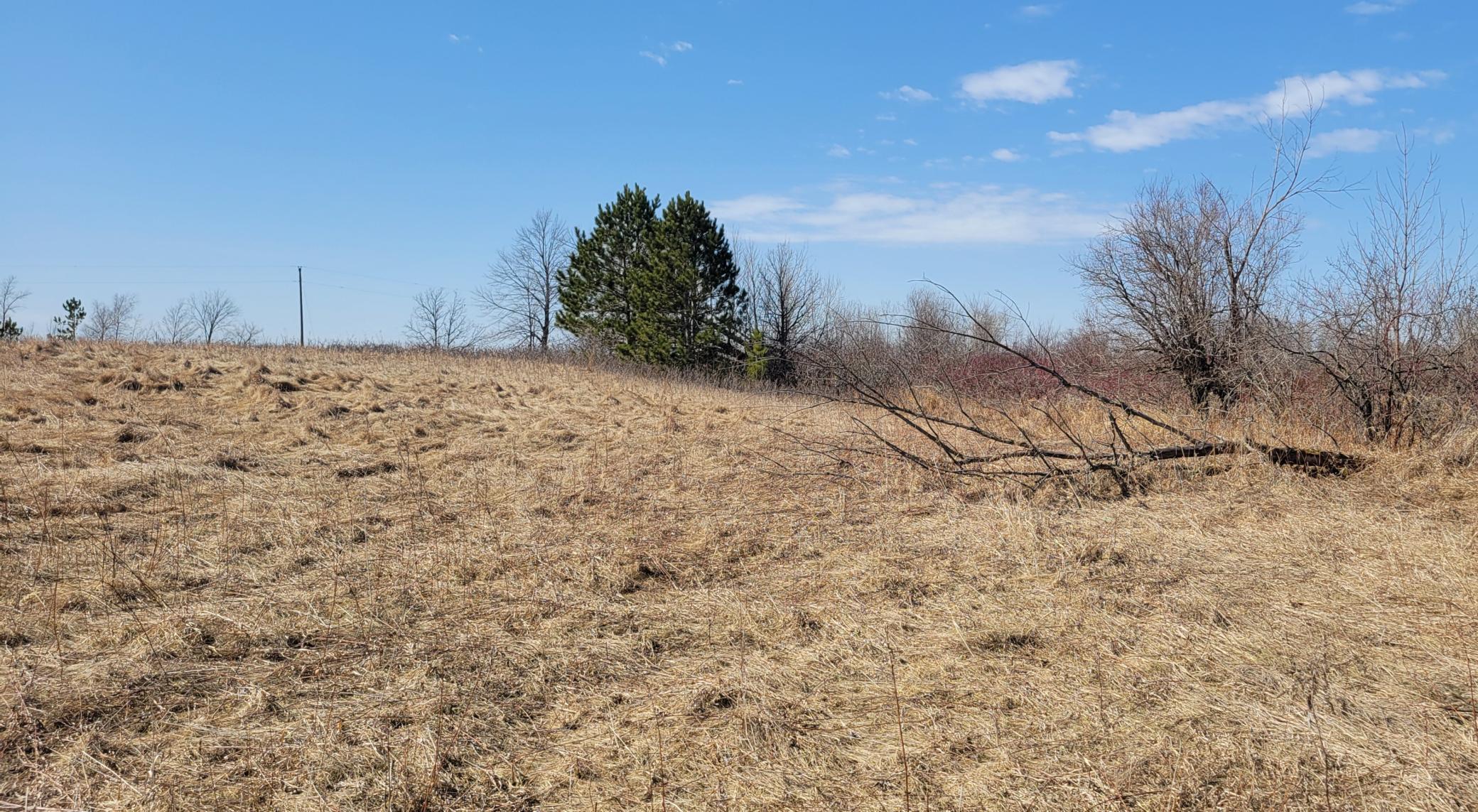 512xx Leaf River Road Tract A, Ottertail MN 56571 - Photo 5 of 27