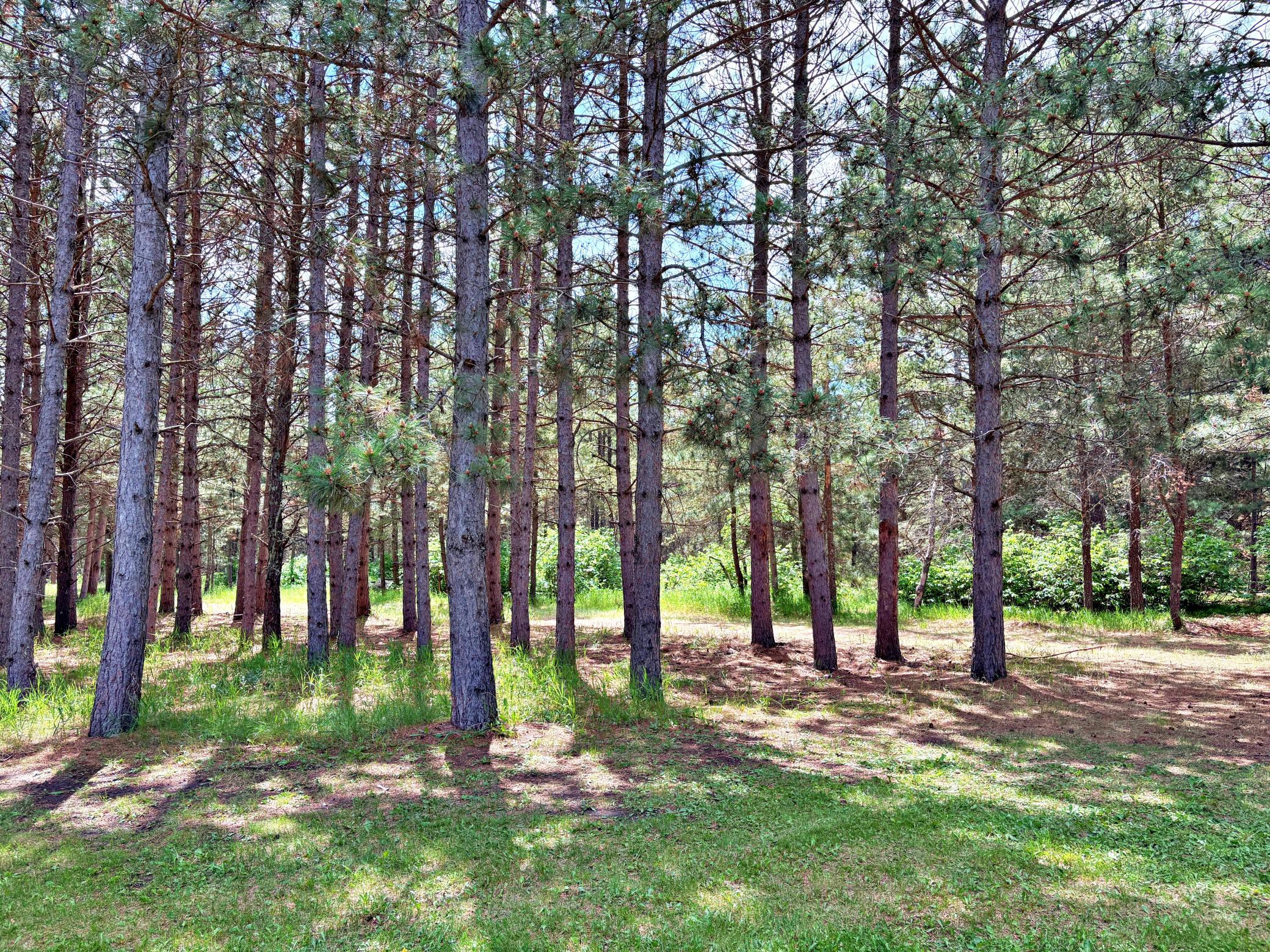 2006 single family home for sale at 37215 Pine Cone Drive in Menahga, MN — 5 bed, 3 bath (photo 5 of 7)