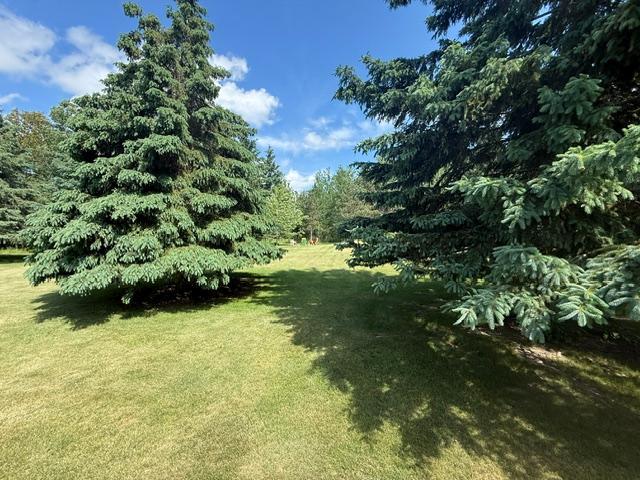 22827 Quiet Meadow Drive NE, Blackduck MN 56630 - Photo 27 of 38