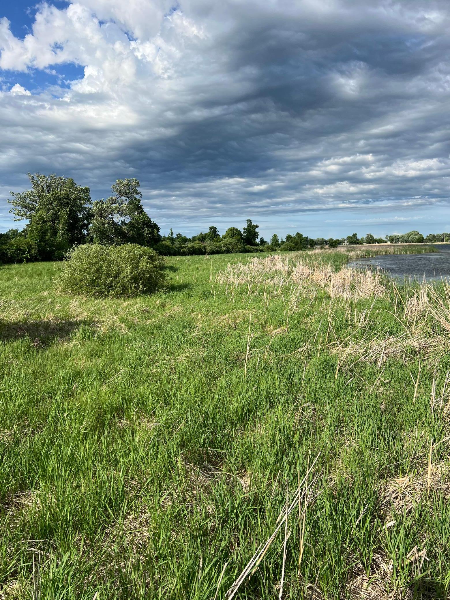 43xxx Inlet Estates Trail, Ottertail MN 56571 - Photo 10 of 19