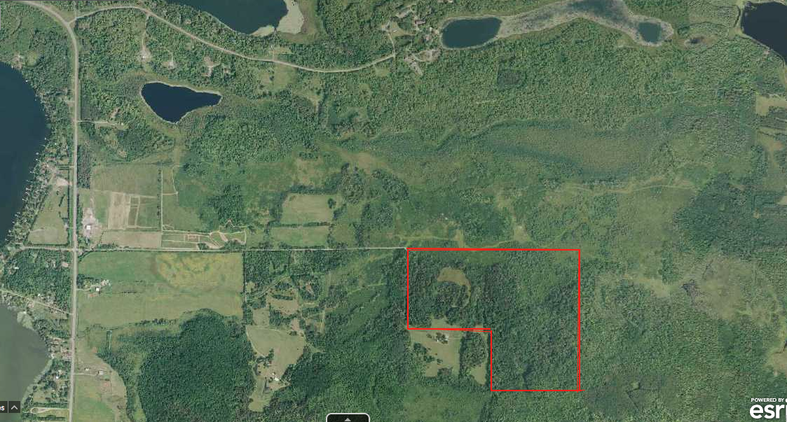 TBD 430th Lane, Fleming Twp MN 56469 - Photo 2 of 5