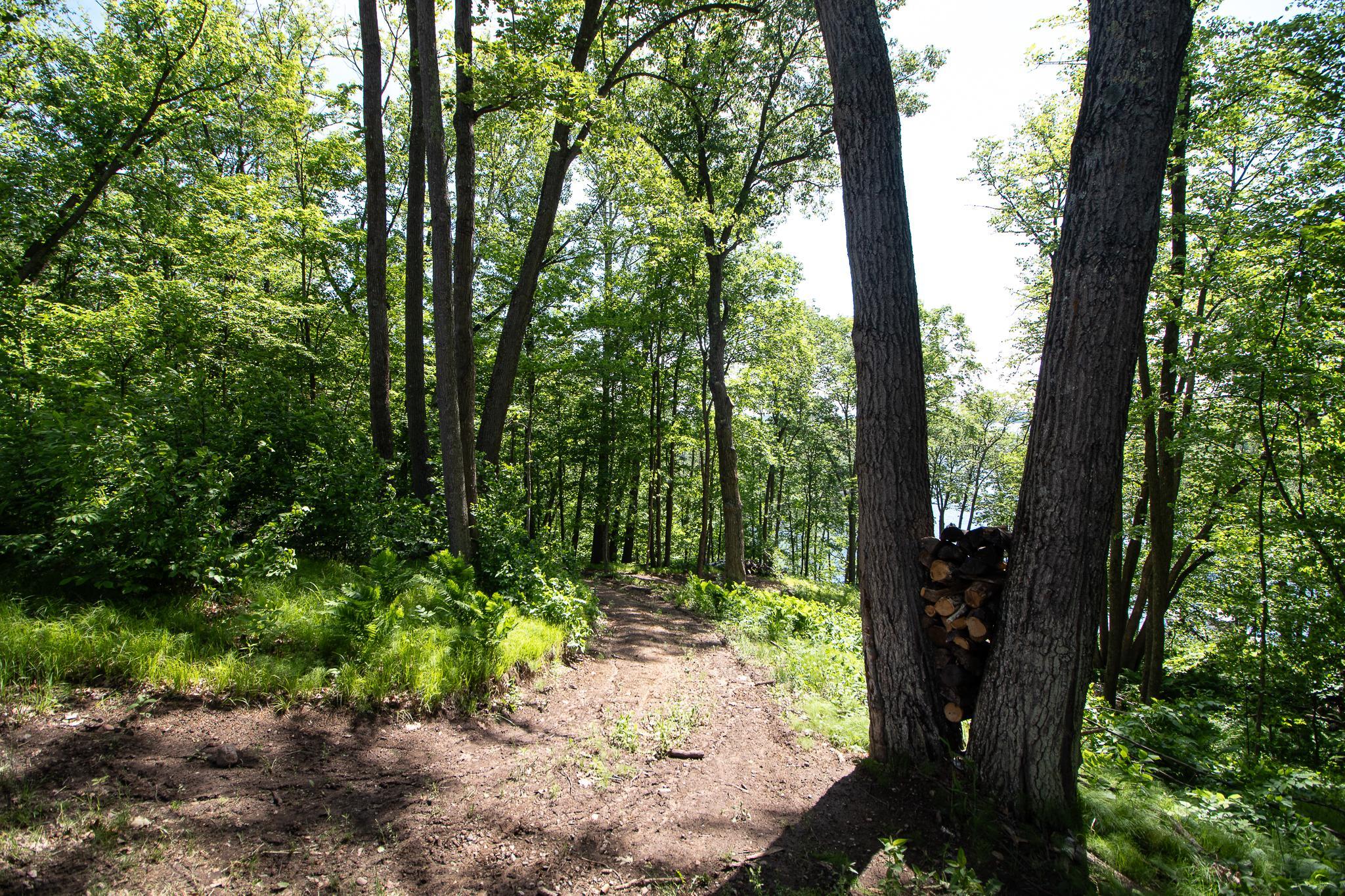 2019 single family home for sale at 22281 Shadow Point Road in Emily, MN — 5 bed, 2 bath (photo 39 of 47)