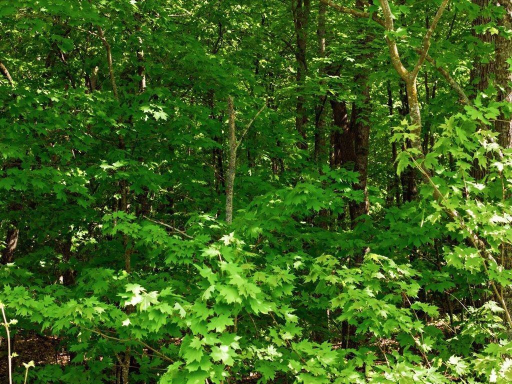 land for sale at TBD Holiday Harbor Drive in Garrison, MN (photo 7 of 9)
