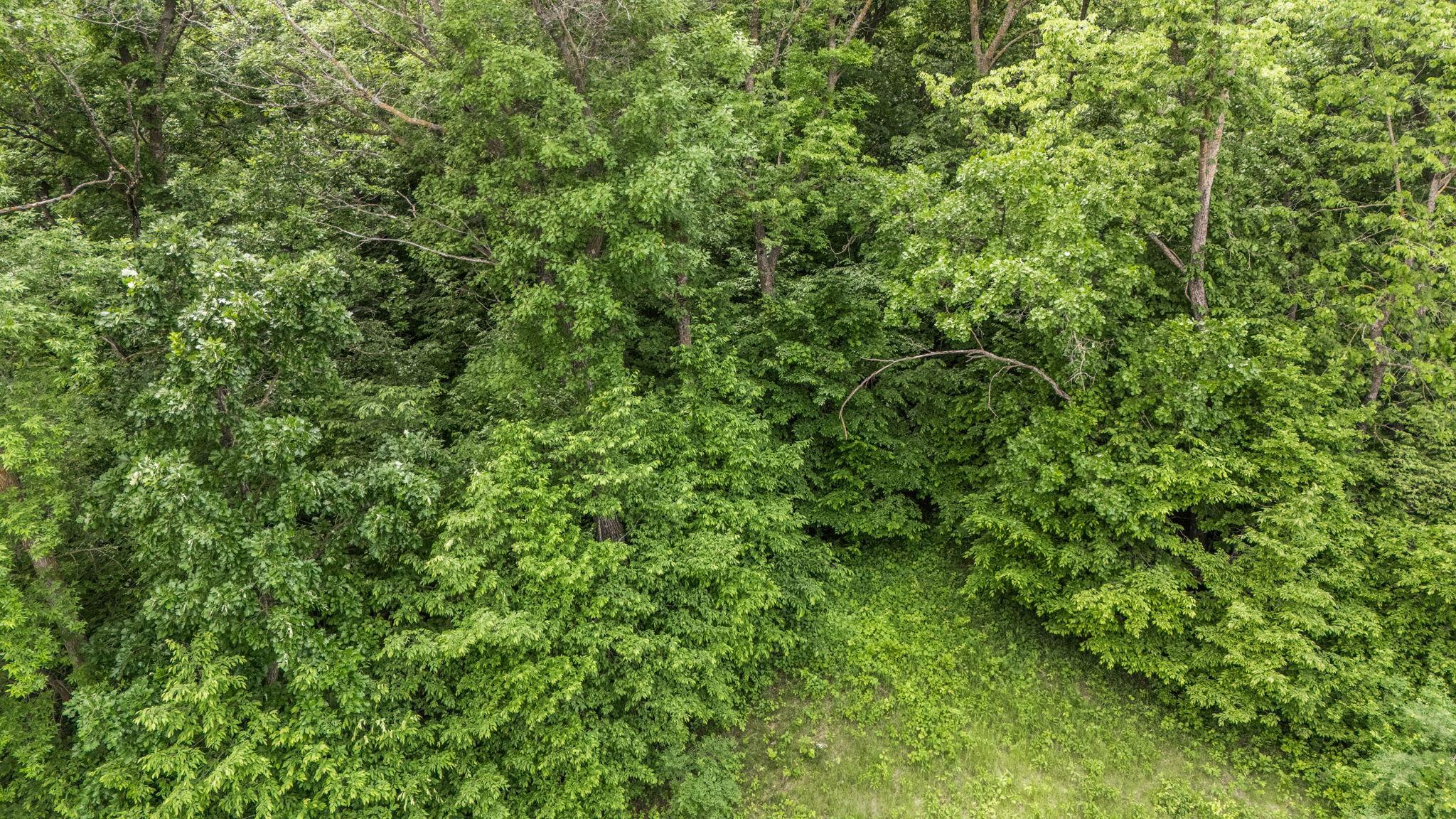 4742 Gold Finch Circle NE, Miltona MN 56354 - Photo 14 of 17