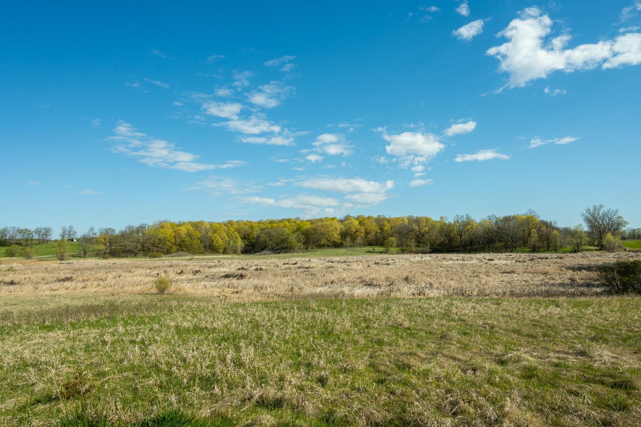1856 land for sale at Tract B - TBD State Highway 108 in Pelican Rapids, MN (photo 11 of 20)