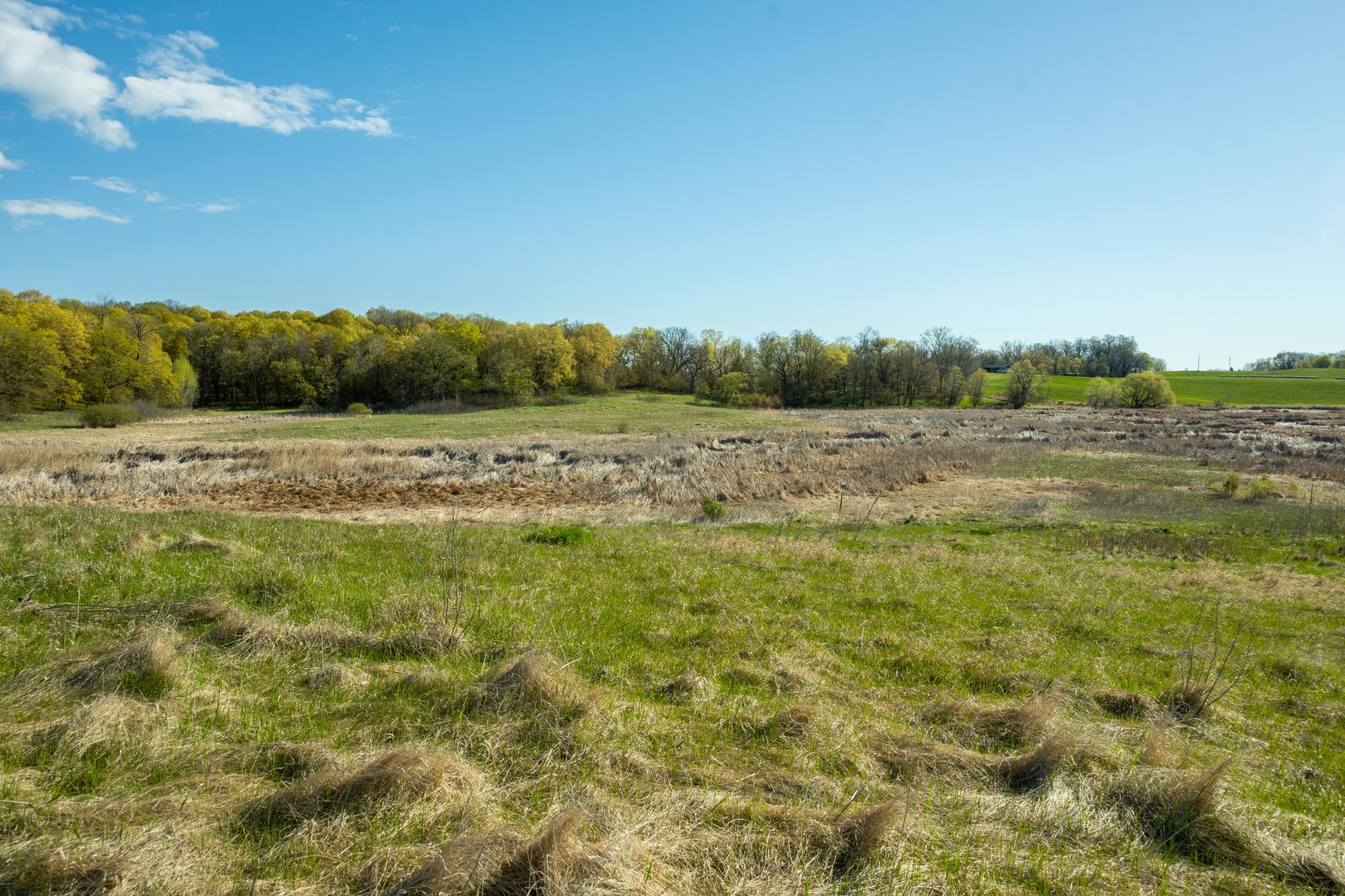 1856 land for sale at Tract B - TBD State Highway 108 in Pelican Rapids, MN (photo 13 of 20)