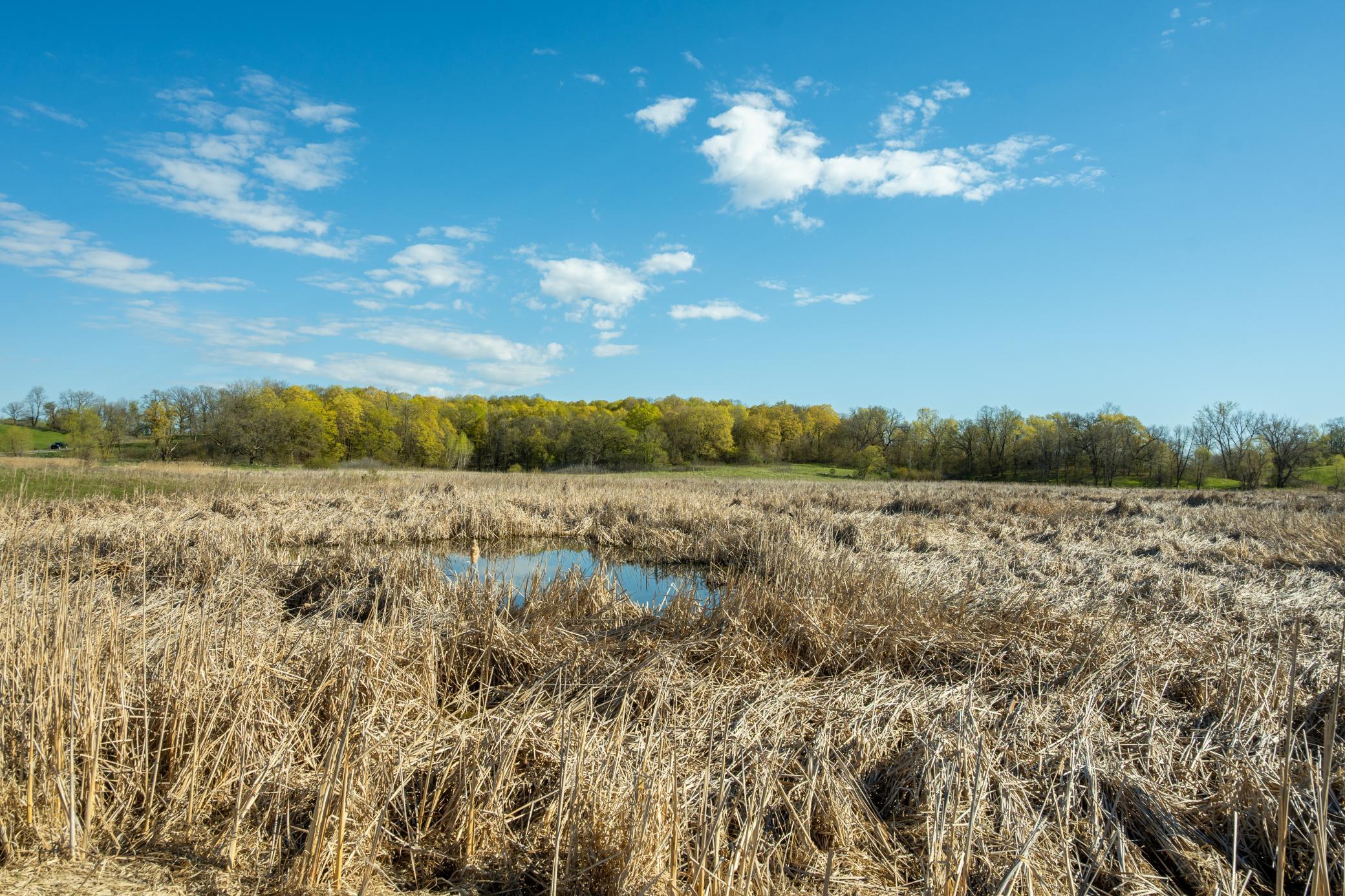1856 land for sale at Tract B - TBD State Highway 108 in Pelican Rapids, MN (photo 15 of 20)