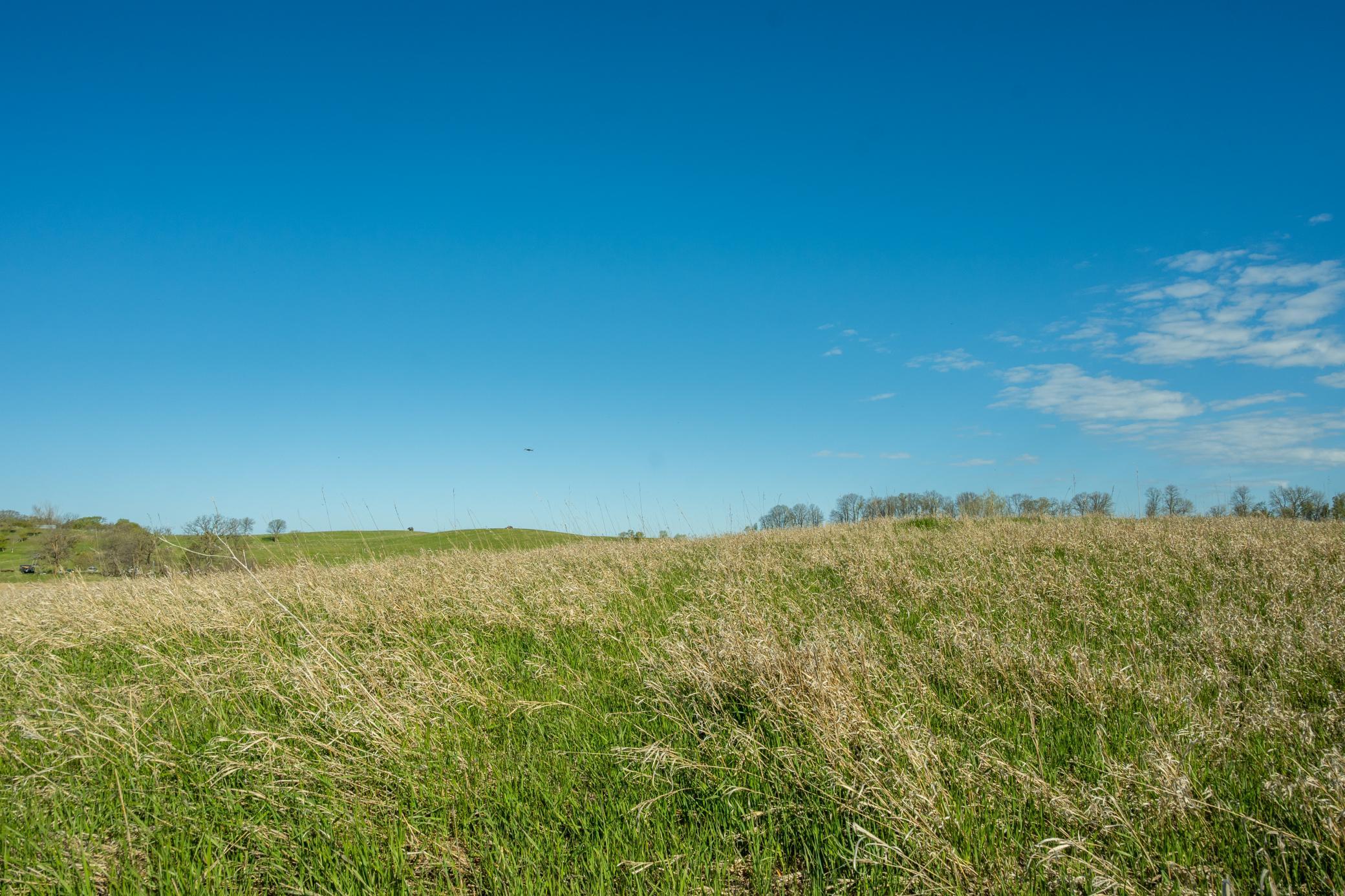 1856 land for sale at Tract B - TBD State Highway 108 in Pelican Rapids, MN (photo 17 of 20)