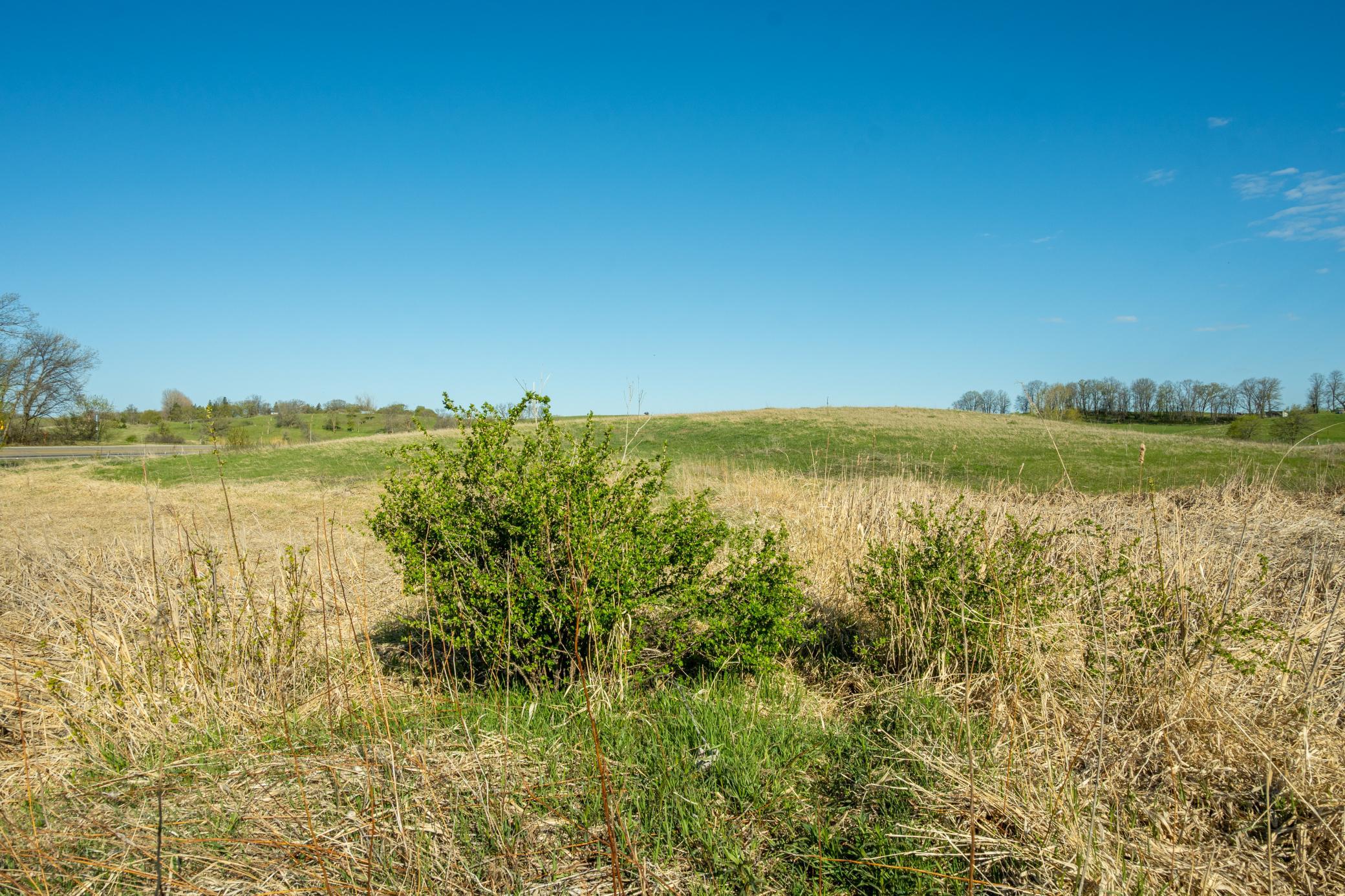 1856 land for sale at Tract B - TBD State Highway 108 in Pelican Rapids, MN (photo 19 of 20)