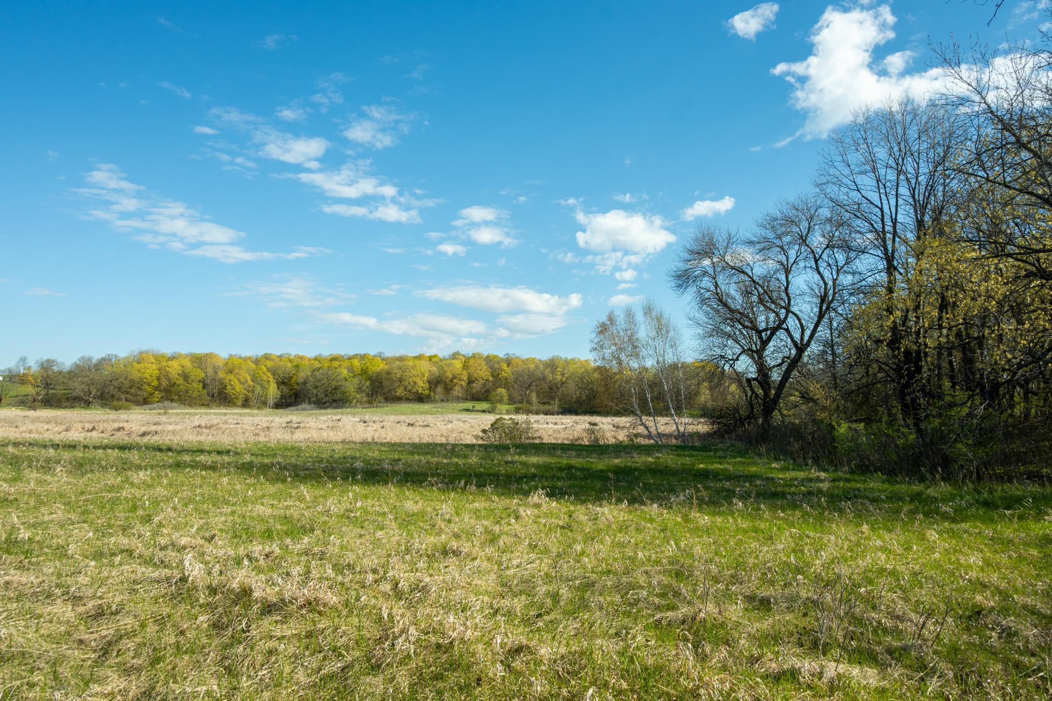 Tract 3 - TBD State Highway 108, Pelican Rapids MN 56572 - Photo 14 of 30