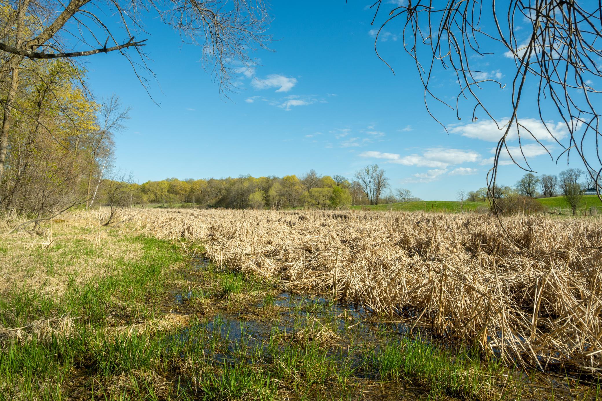 Tract 3 - TBD State Highway 108, Pelican Rapids MN 56572 - Photo 27 of 30