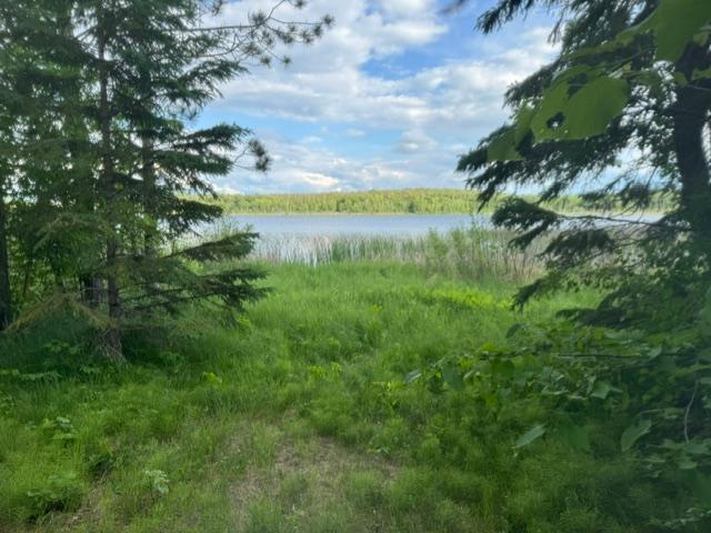 23506 Bezanis Road, Cohasset MN 55721 - Photo 2 of 8