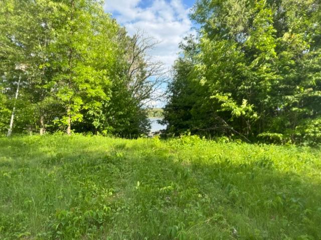 23506 Bezanis Road, Cohasset MN 55721 - Photo 3 of 8