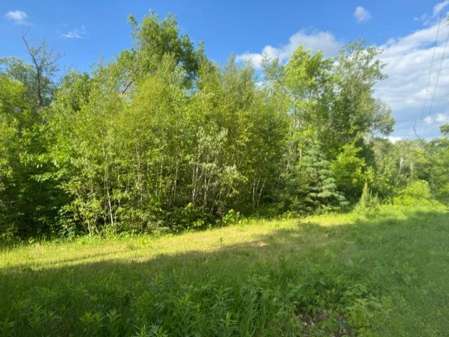 23506 Bezanis Road, Cohasset MN 55721 - Photo 4 of 8