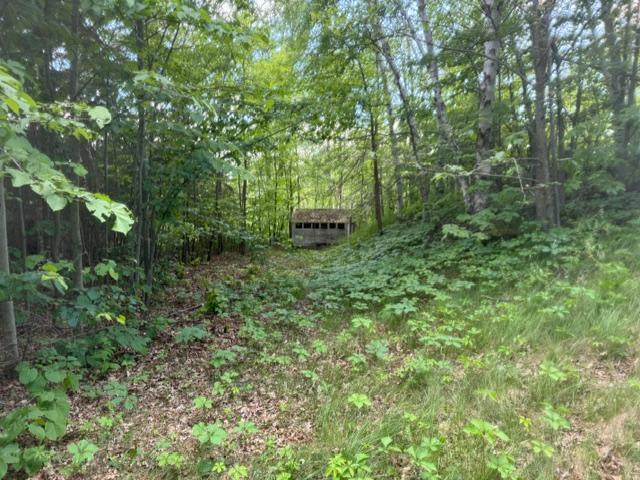 23506 Bezanis Road, Cohasset MN 55721 - Photo 5 of 8