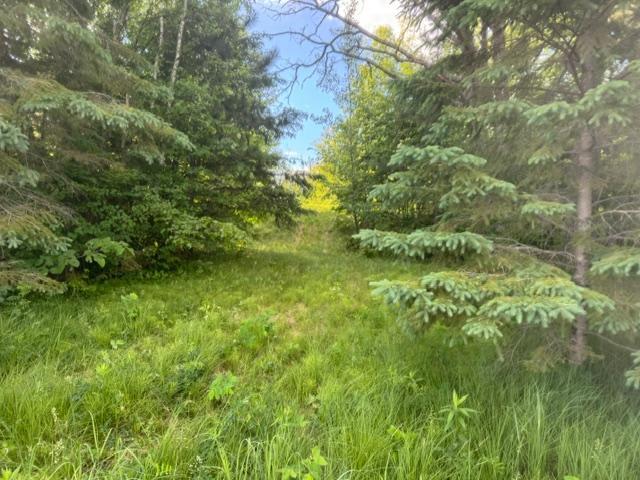 23506 Bezanis Road, Cohasset MN 55721 - Photo 6 of 8
