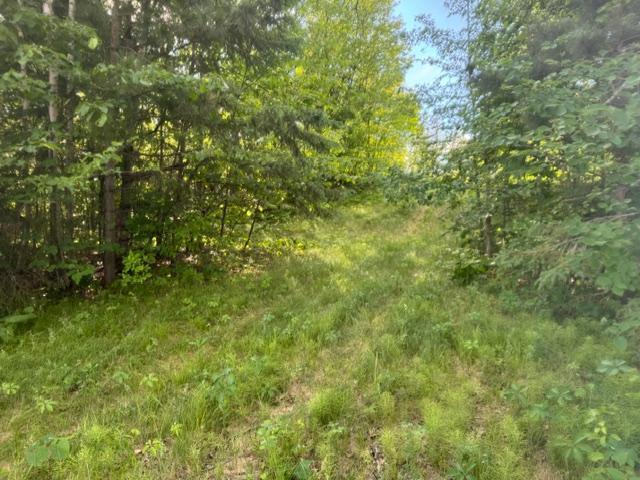 23506 Bezanis Road, Cohasset MN 55721 - Photo 7 of 8