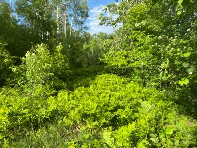 23506 Bezanis Road, Cohasset MN 55721 - Photo 8 of 8