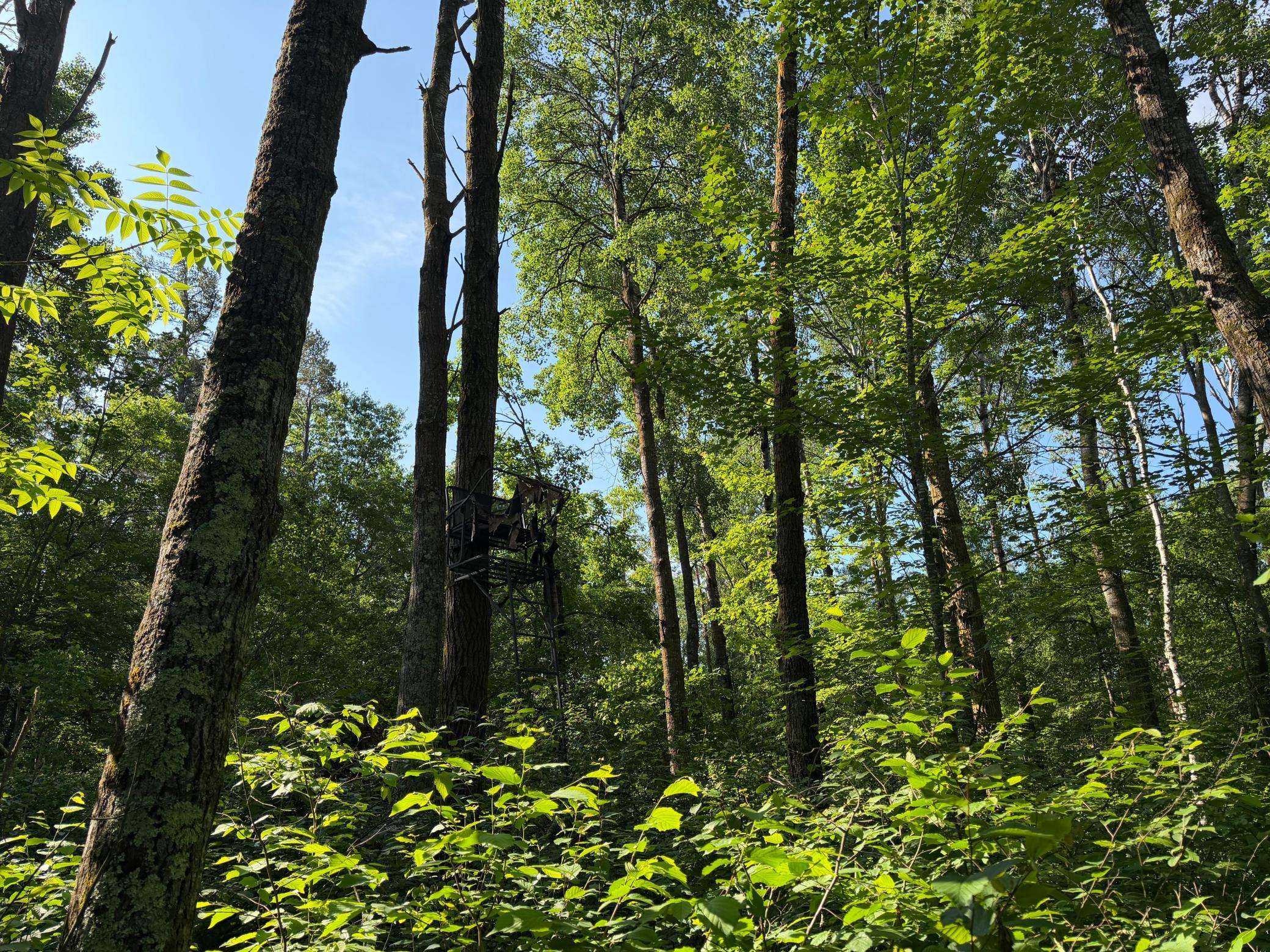 land for sale at TBD 270th Street in Sebeka, MN (photo 16 of 49)