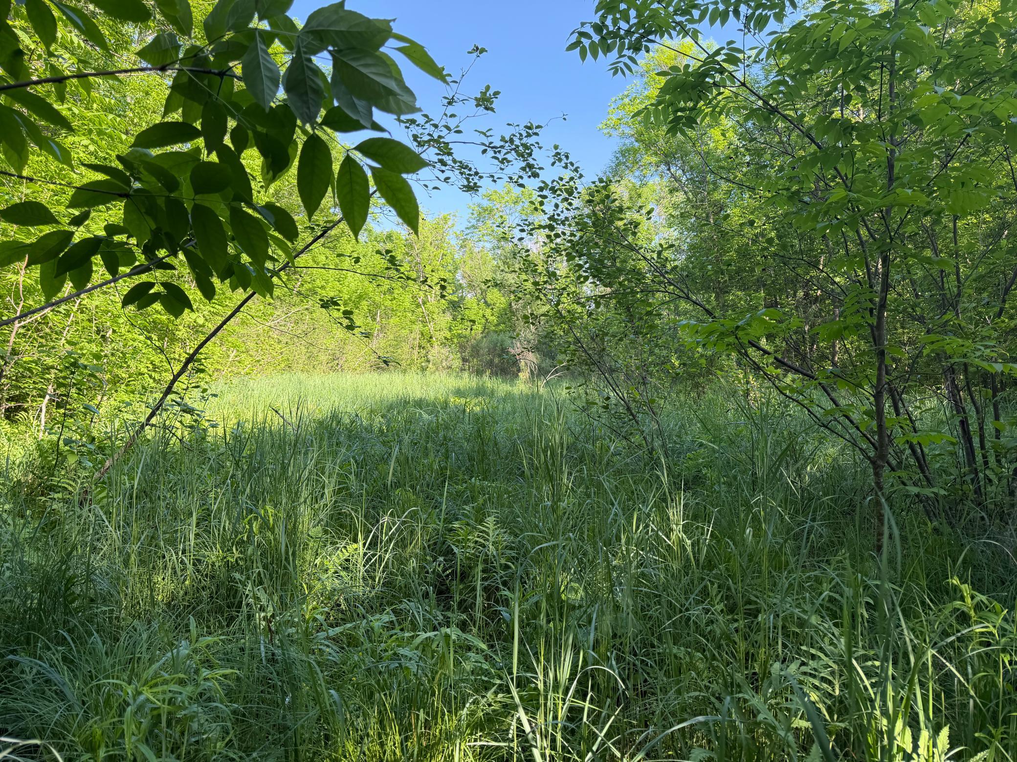land for sale at TBD 270th Street in Sebeka, MN (photo 26 of 49)