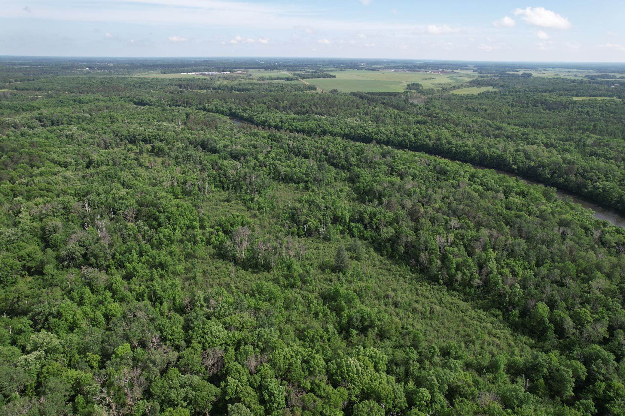 land for sale at TBD 270th Street in Sebeka, MN (photo 4 of 49)