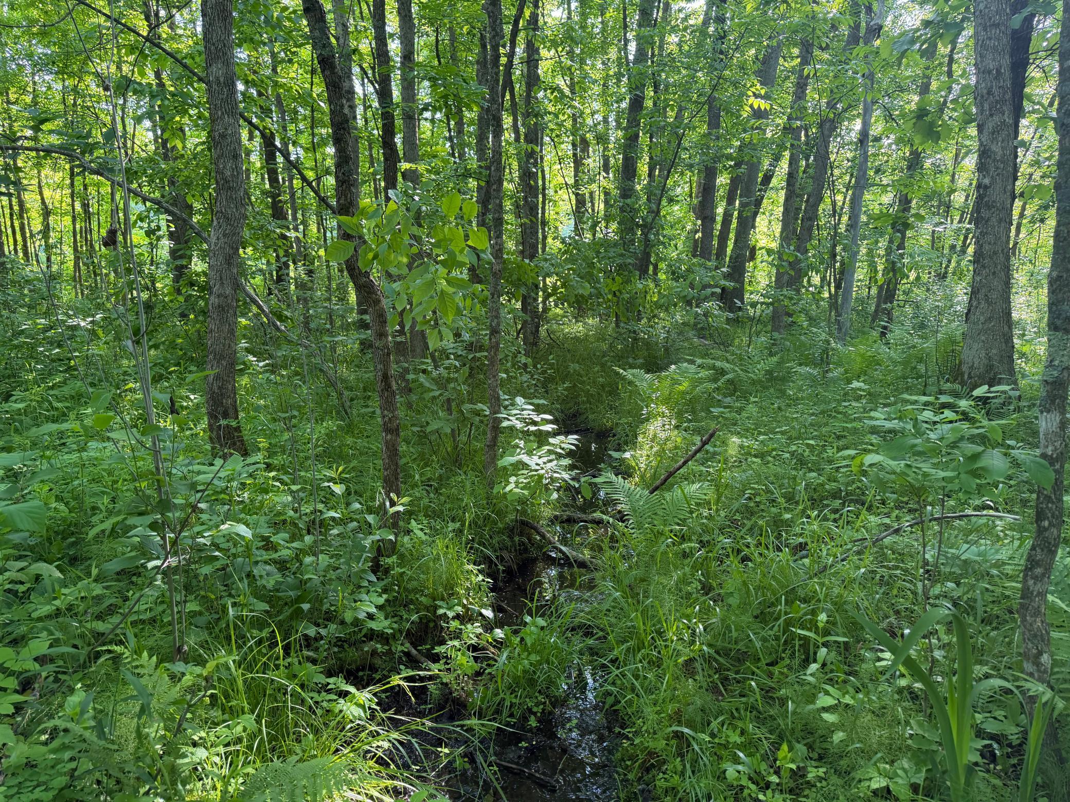 land for sale at TBD 270th Street in Sebeka, MN (photo 32 of 49)