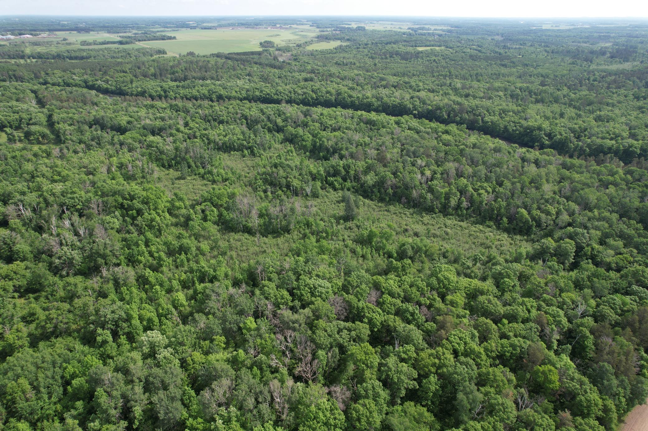 land for sale at TBD 270th Street in Sebeka, MN (photo 5 of 49)