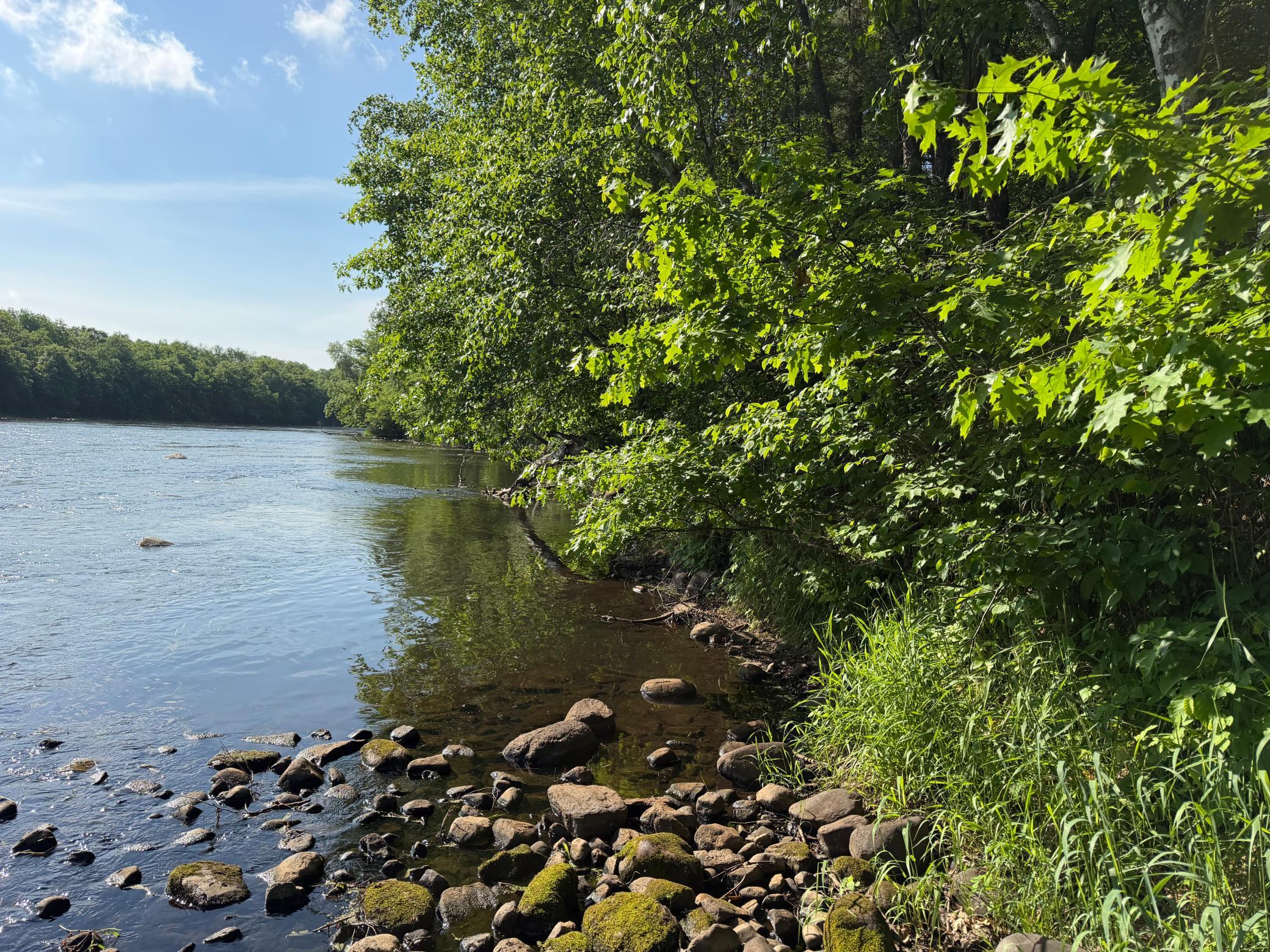 land for sale at TBD 270th Street in Sebeka, MN (photo 36 of 49)