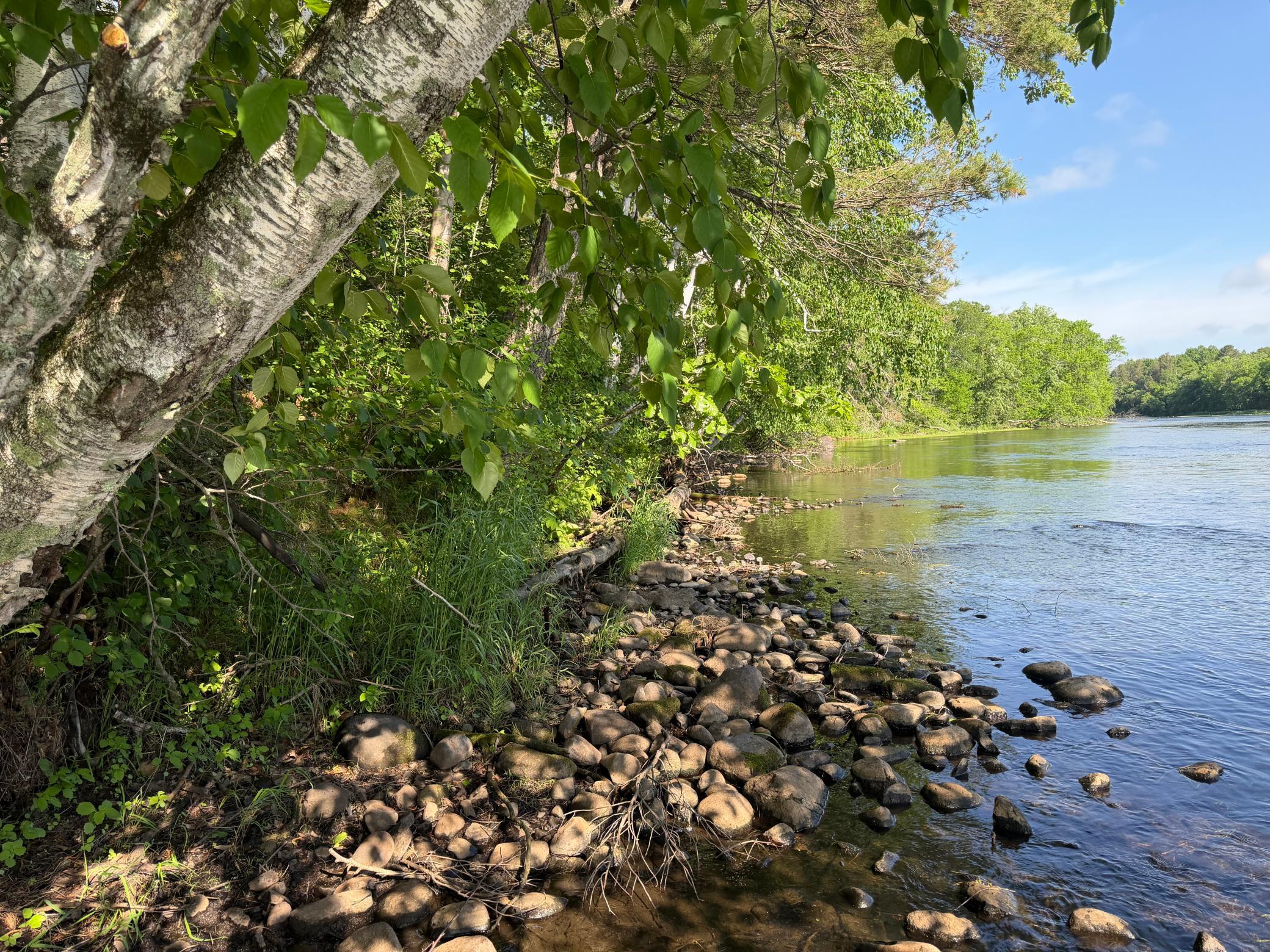 land for sale at TBD 270th Street in Sebeka, MN (photo 37 of 49)