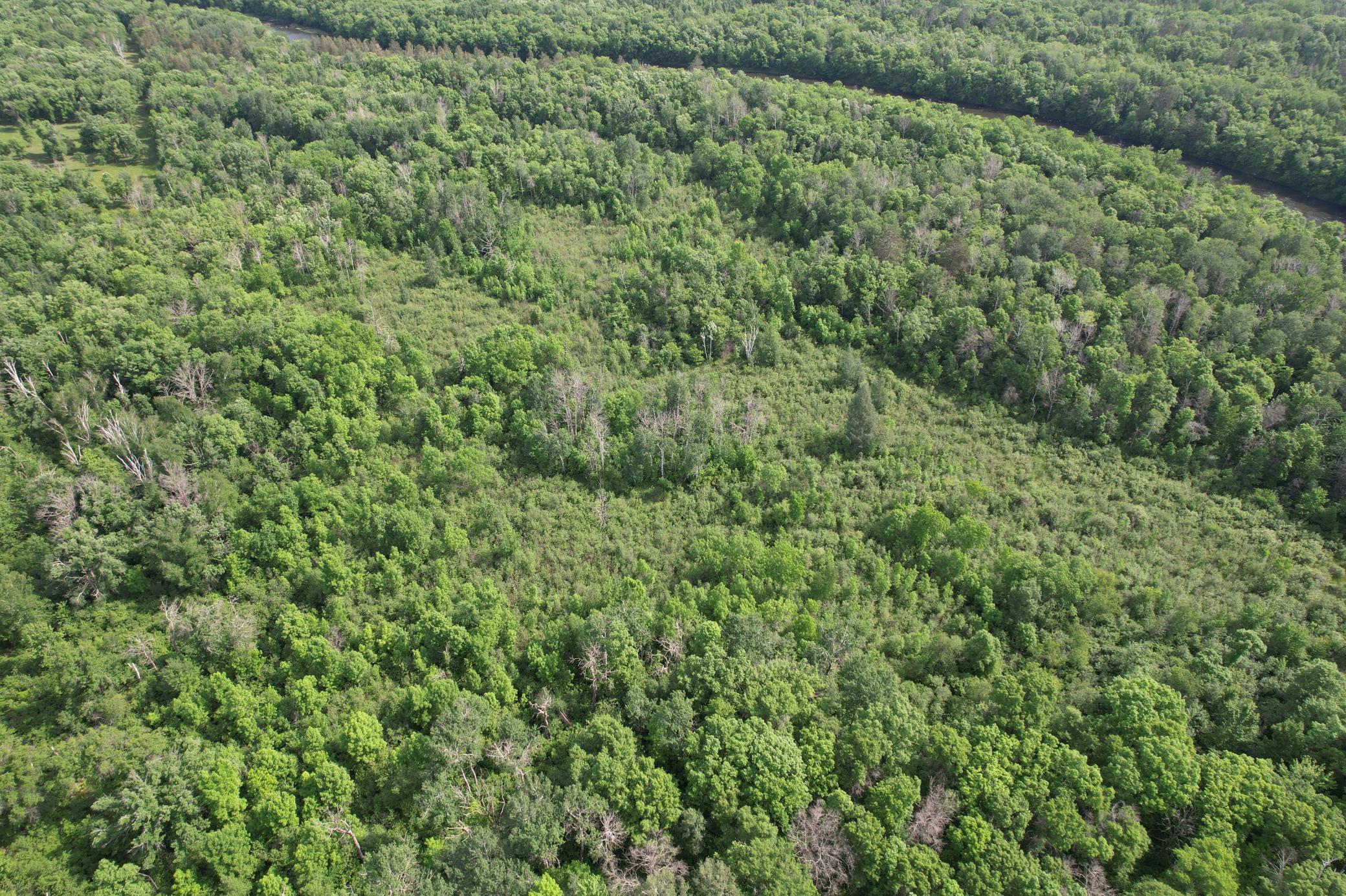 land for sale at TBD 270th Street in Sebeka, MN (photo 6 of 49)
