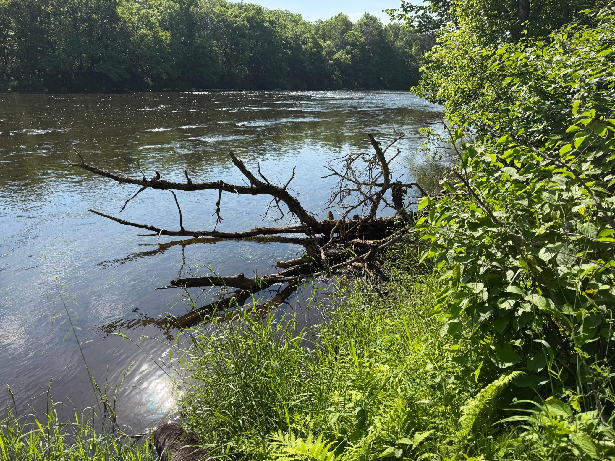 land for sale at TBD 270th Street in Sebeka, MN (photo 42 of 49)
