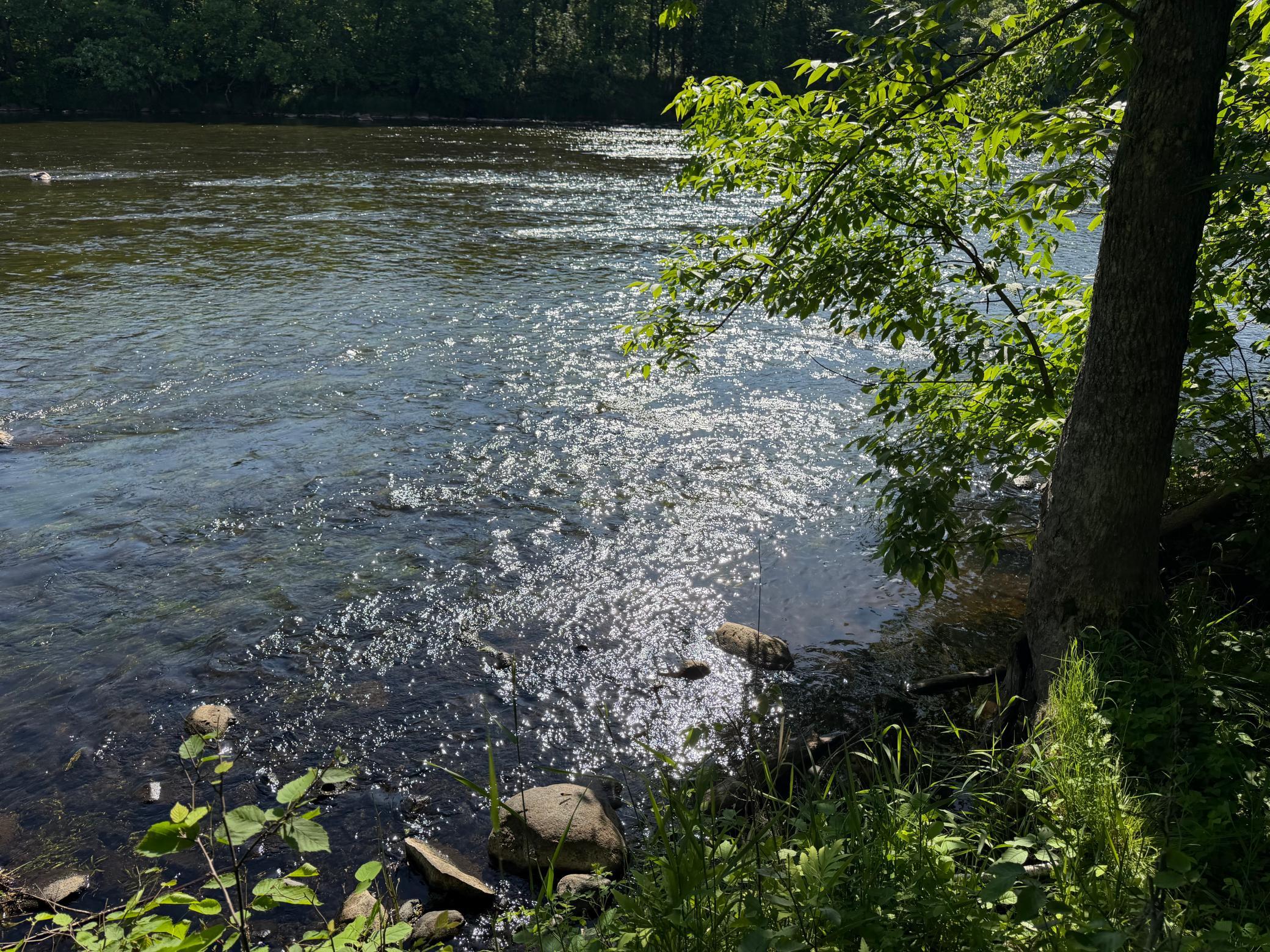 land for sale at TBD 270th Street in Sebeka, MN (photo 43 of 49)
