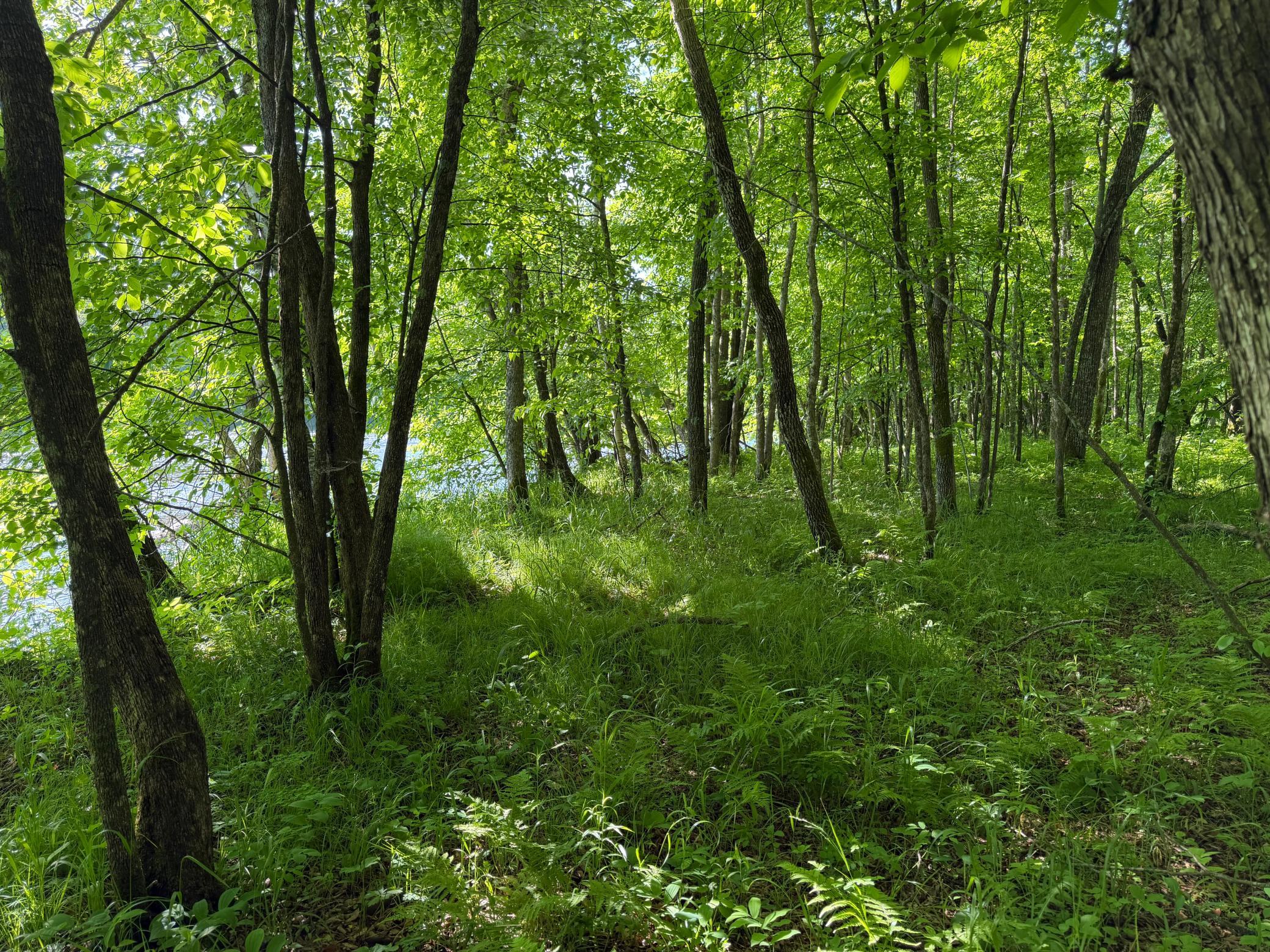 land for sale at TBD 270th Street in Sebeka, MN (photo 44 of 49)