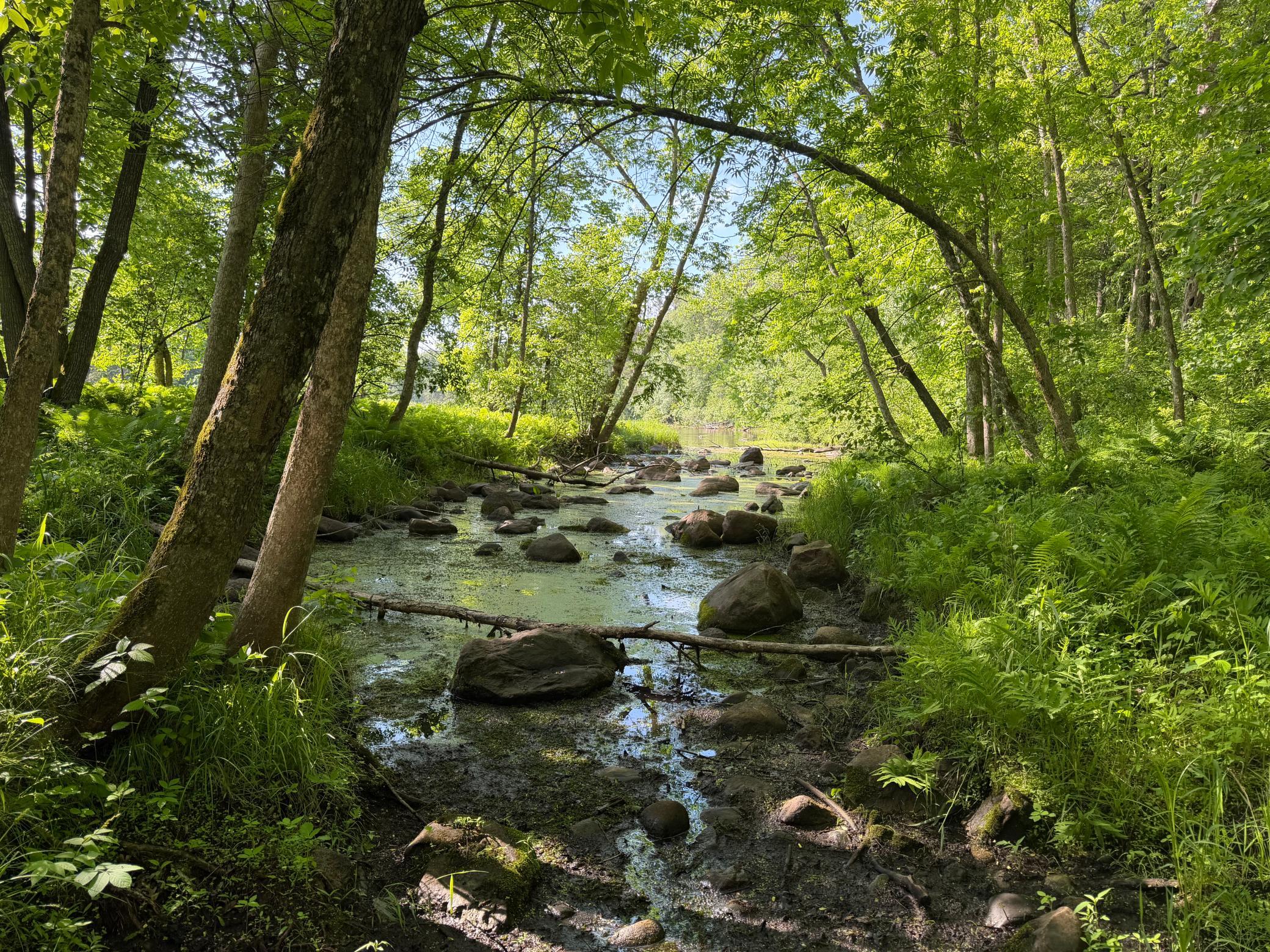 land for sale at TBD 270th Street in Sebeka, MN (photo 46 of 49)