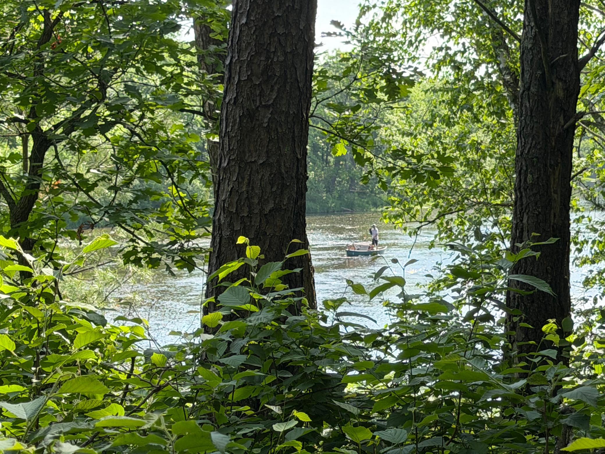 land for sale at TBD 270th Street in Sebeka, MN (photo 47 of 49)