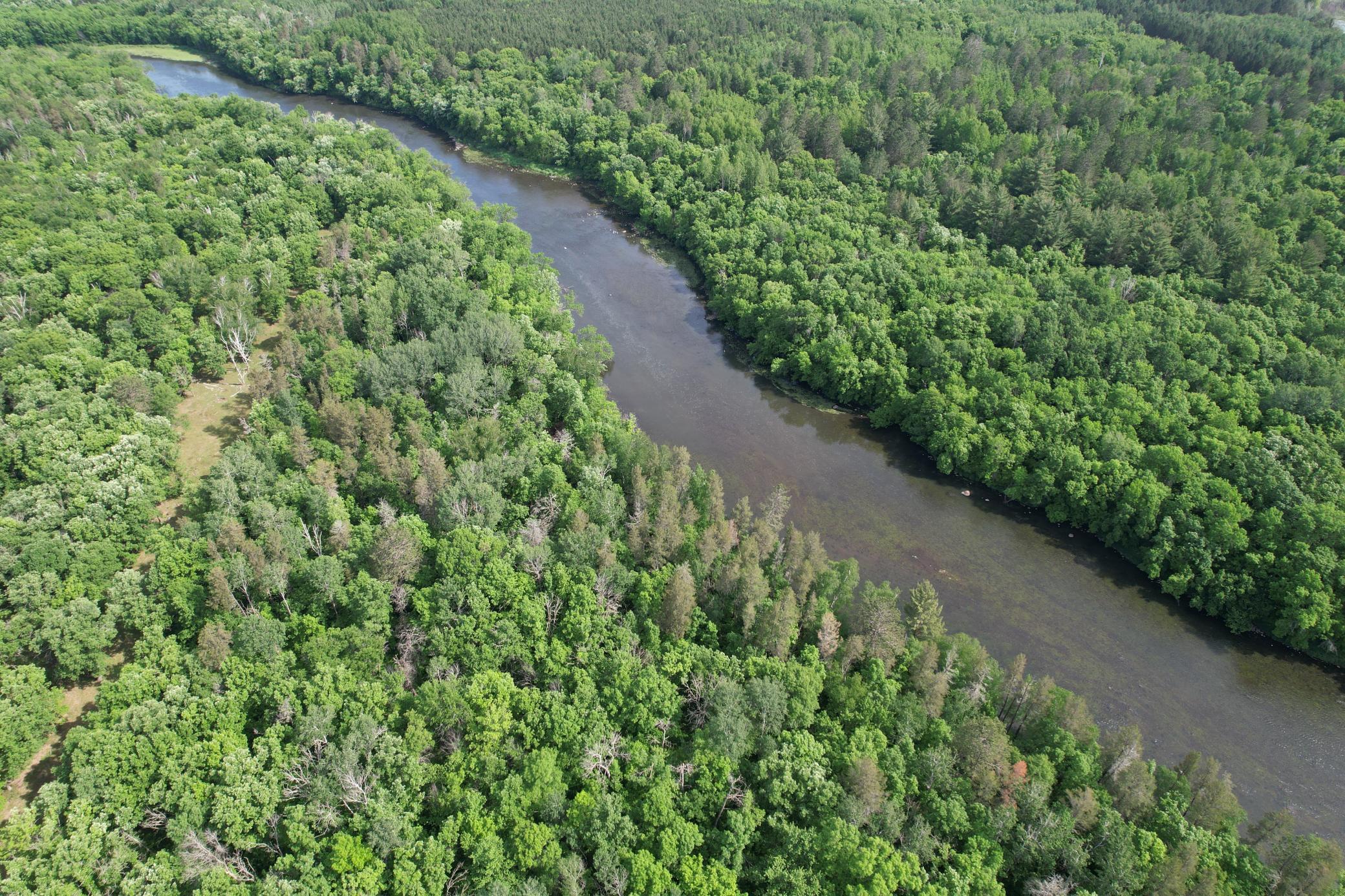 land for sale at TBD 270th Street in Sebeka, MN (photo 10 of 49)
