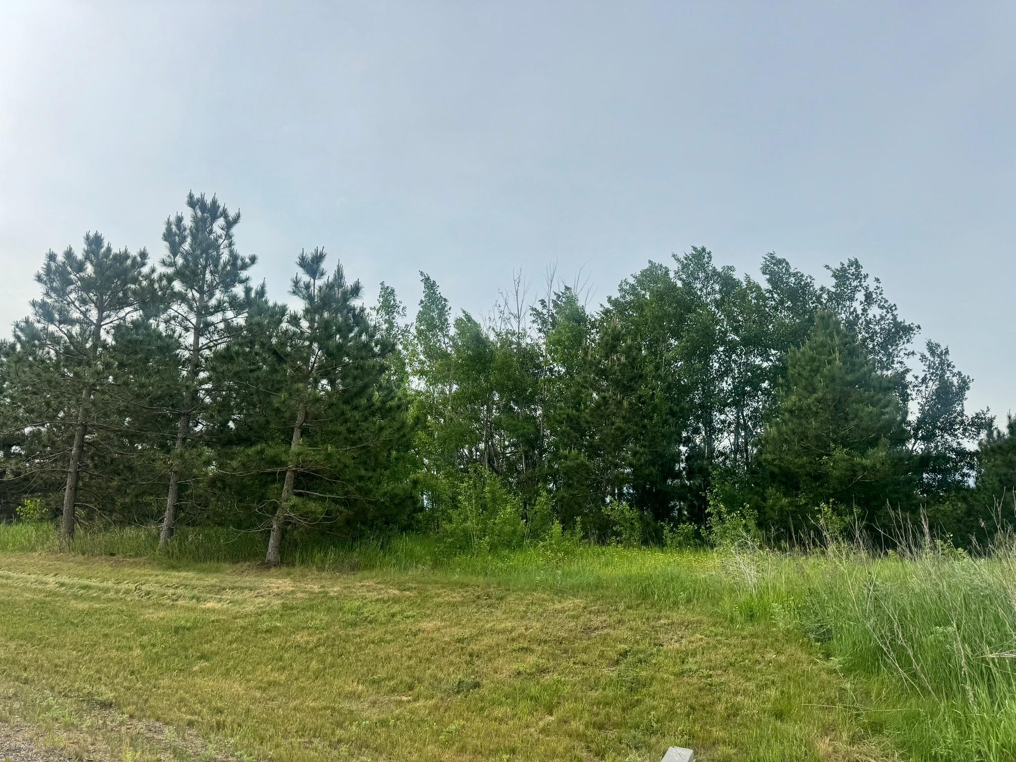 1967 land for sale at TBD Tract 3 County 13 in Nevis, MN