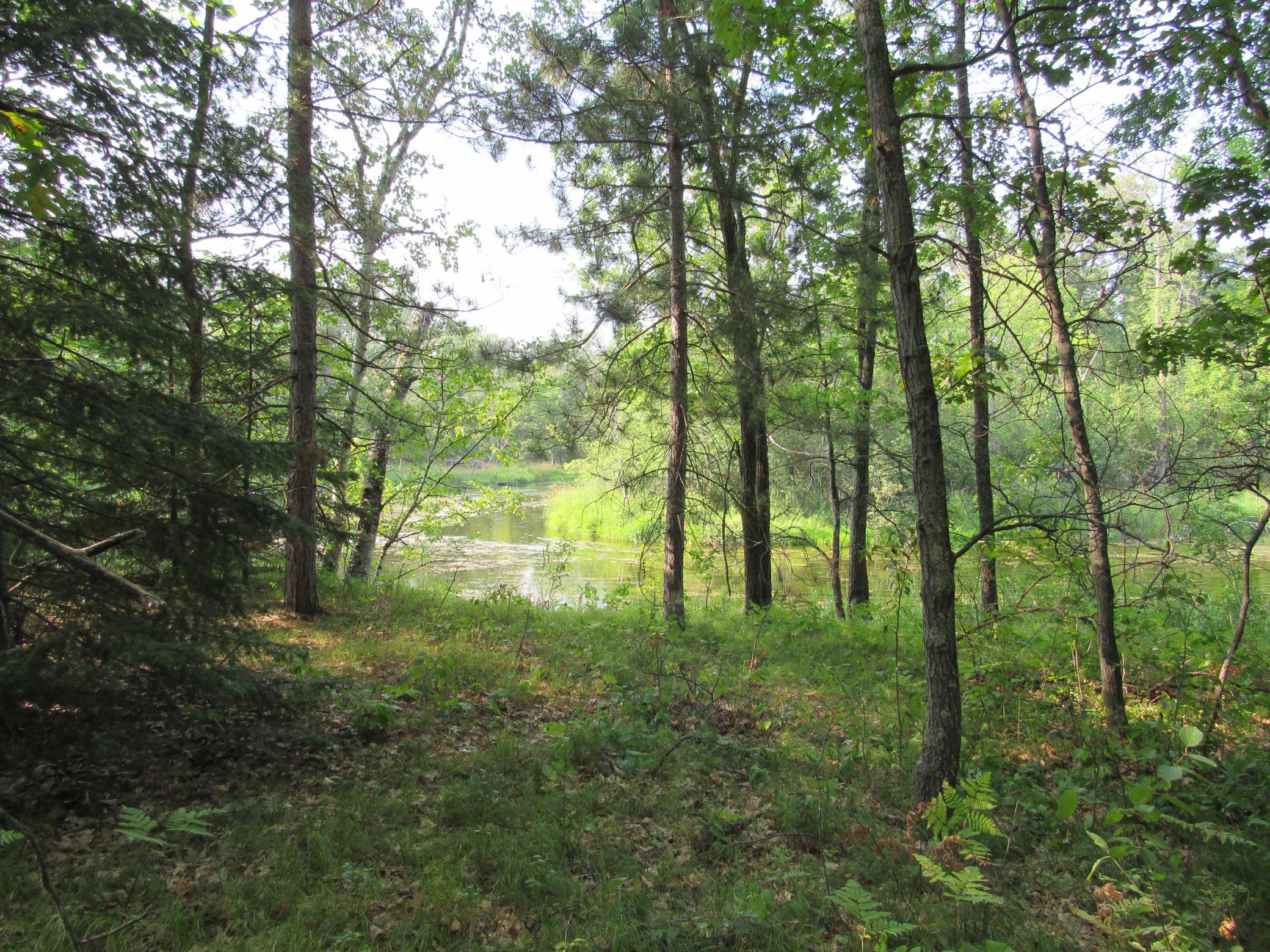 land for sale at LOTS 5-11 TBD FRONT STREET FRONT STREET in Pine River, MN