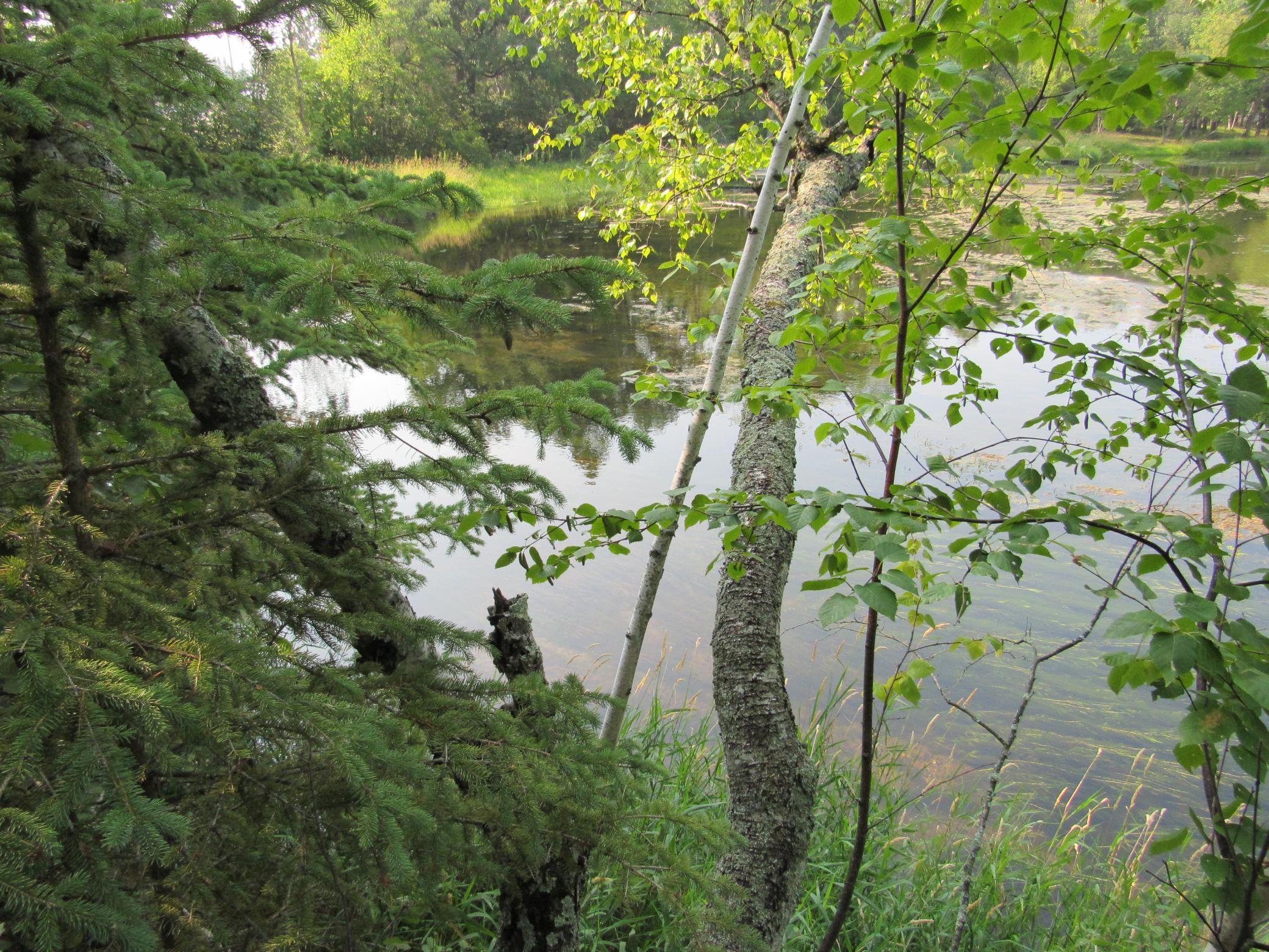 land for sale at LOTS 5-11 TBD FRONT STREET FRONT STREET in Pine River, MN (photo 2 of 6)