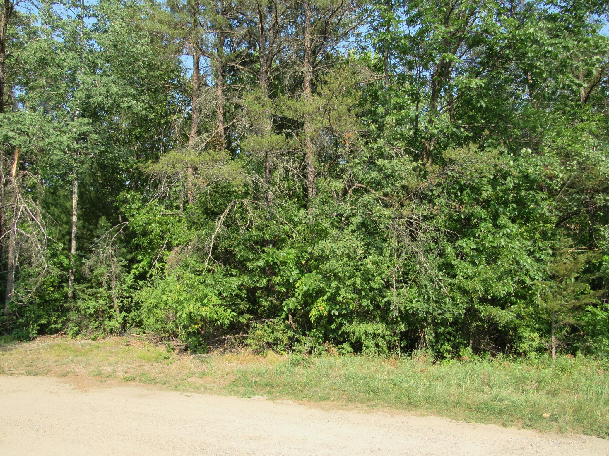 land for sale at LOTS 5-11 TBD FRONT STREET FRONT STREET in Pine River, MN (photo 3 of 6)
