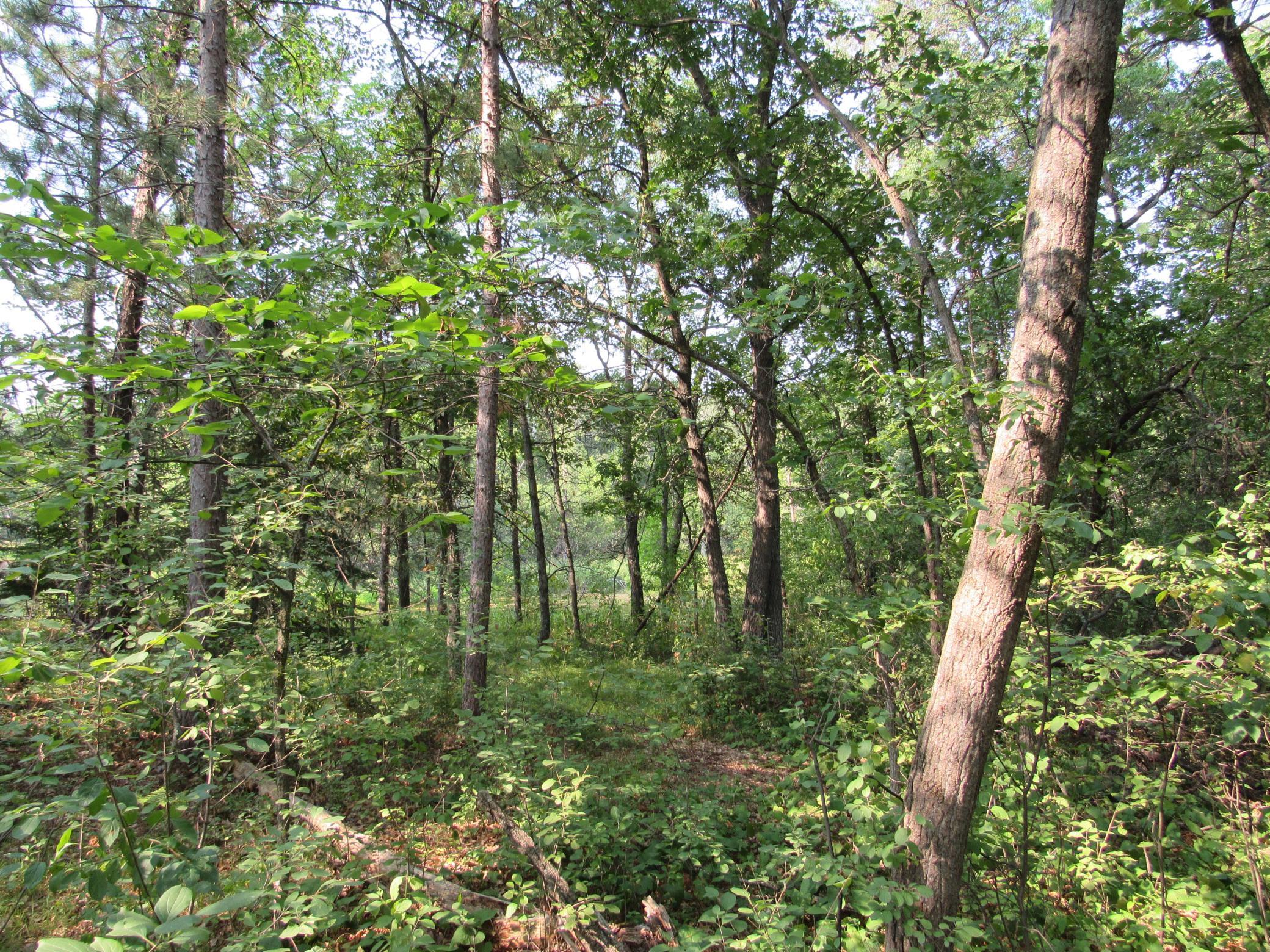 land for sale at LOTS 5-11 TBD FRONT STREET FRONT STREET in Pine River, MN (photo 4 of 6)