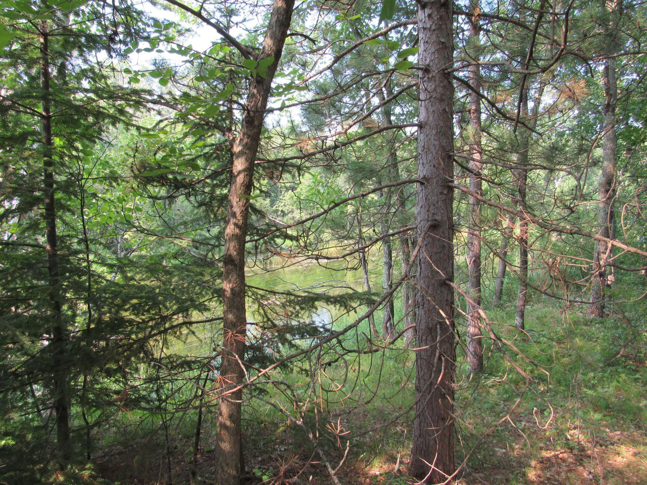 land for sale at LOTS 5-11 TBD FRONT STREET FRONT STREET in Pine River, MN (photo 5 of 6)