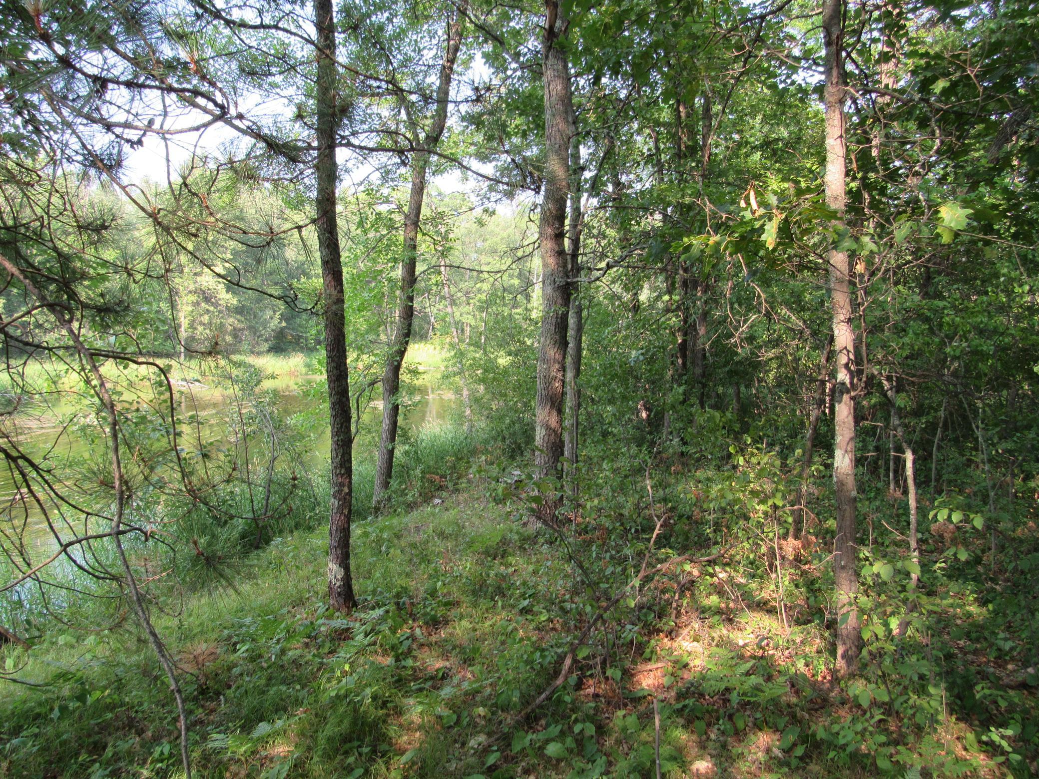land for sale at LOTS 5-11 TBD FRONT STREET FRONT STREET in Pine River, MN (photo 6 of 6)